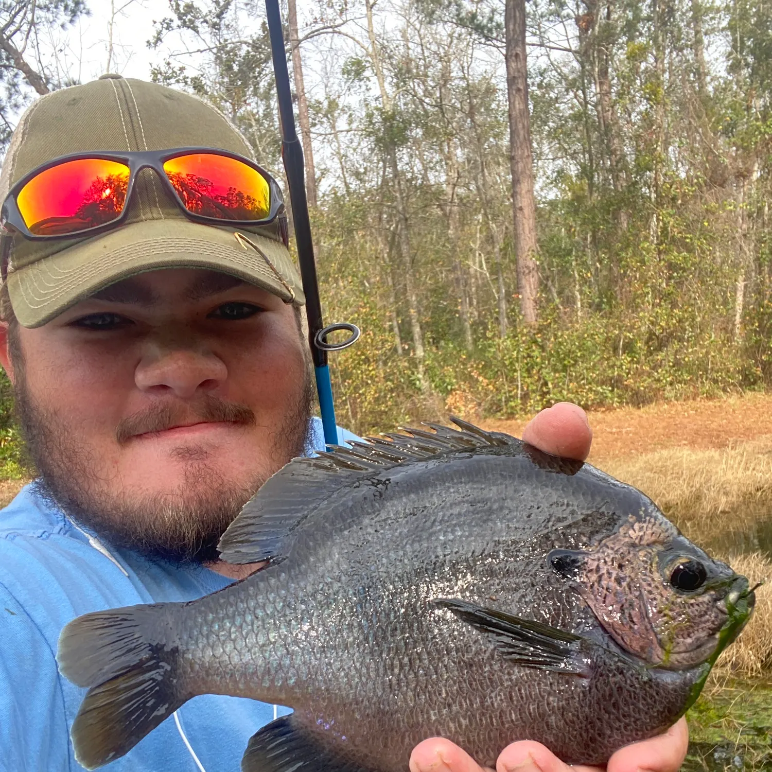 The most recent Bluegill catches on Fishbrain