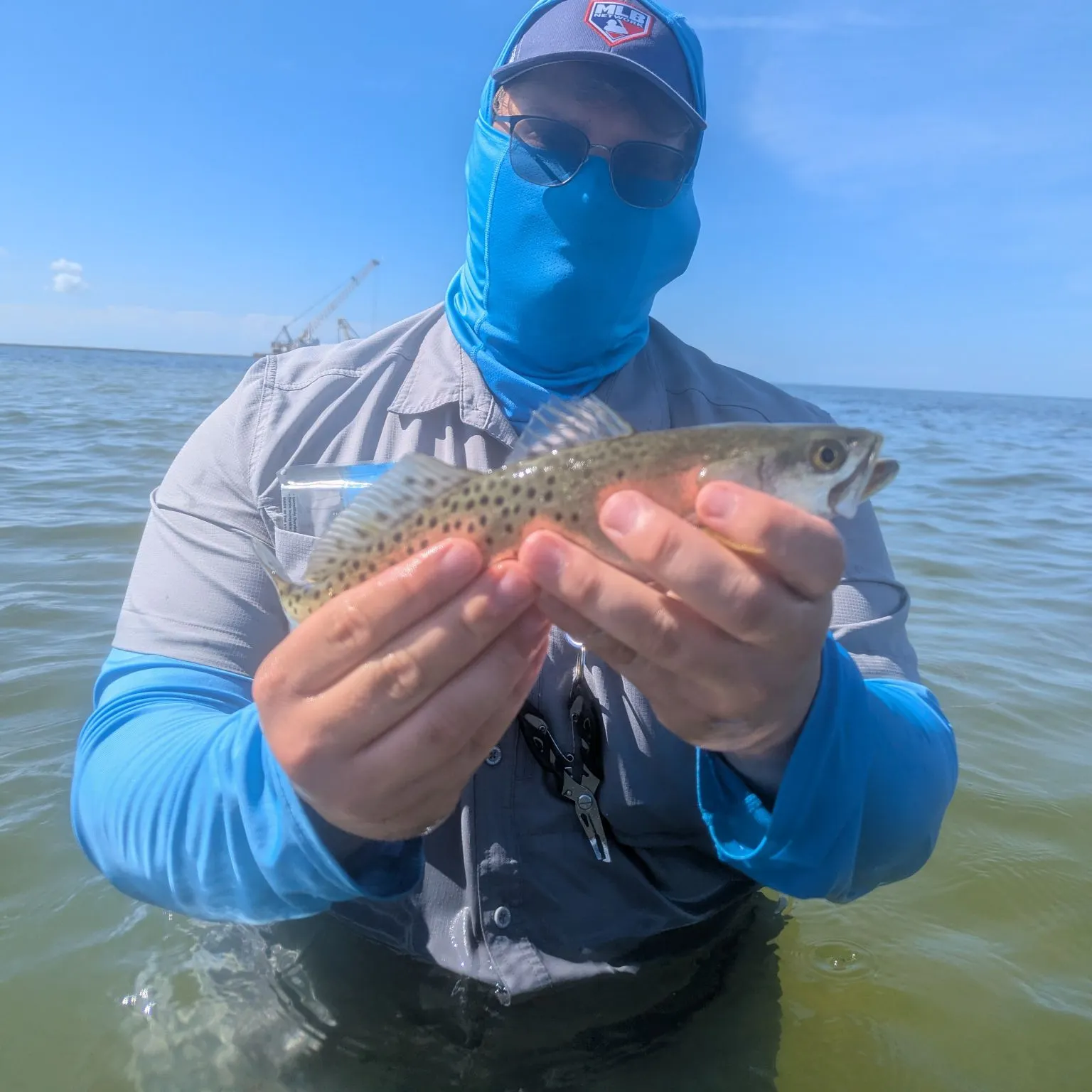 Spotted seatrout caught on Fishbrain