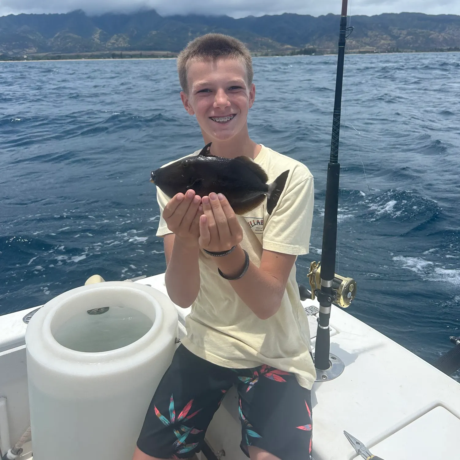 The most recent Bridled triggerfish catches on Fishbrain