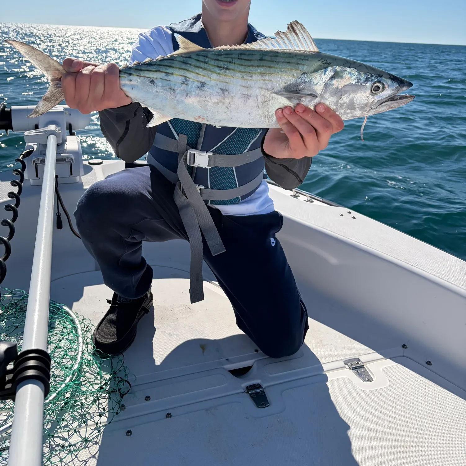 The most recent Atlantic bonito catches on Fishbrain