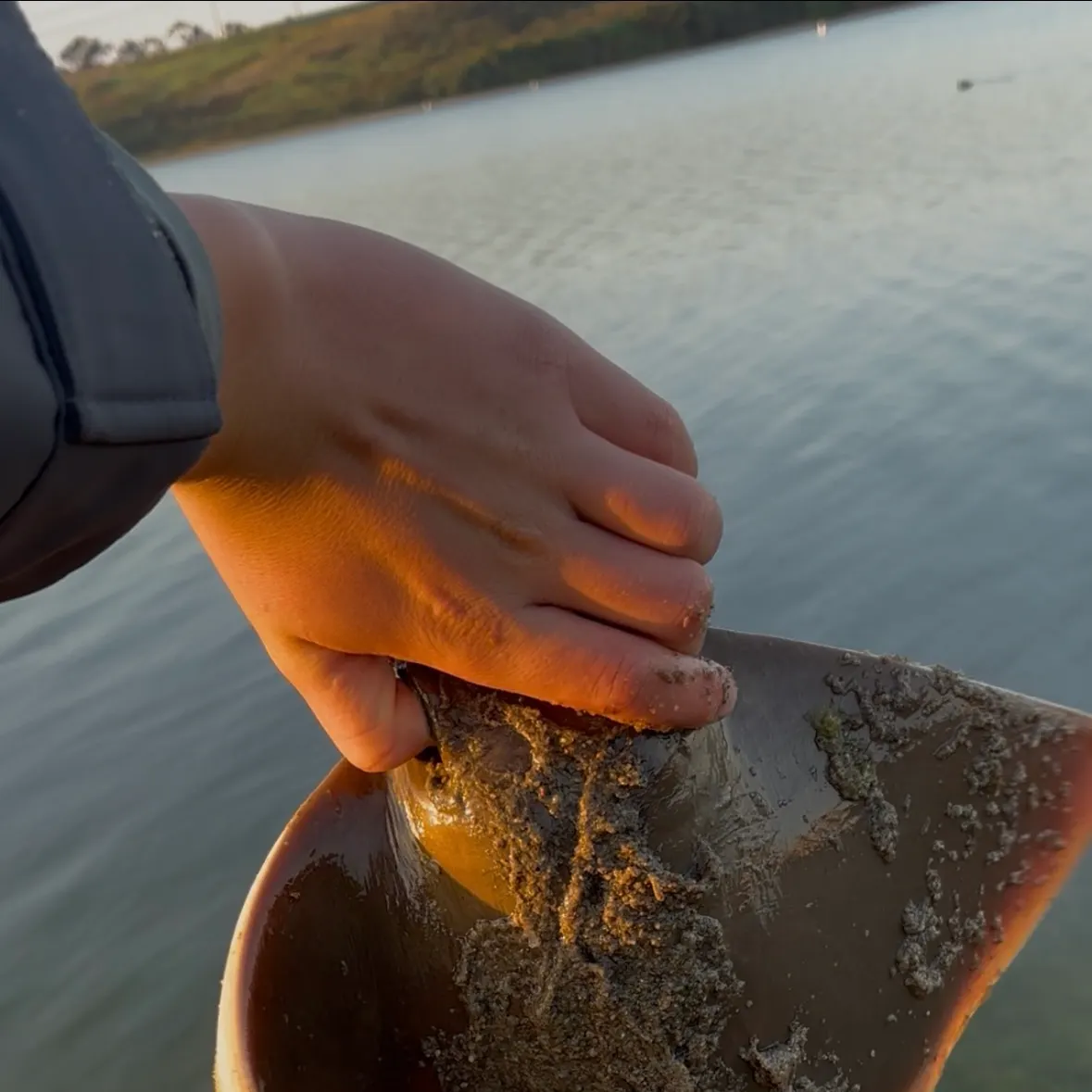 The most recent Bat eagle ray catches on Fishbrain