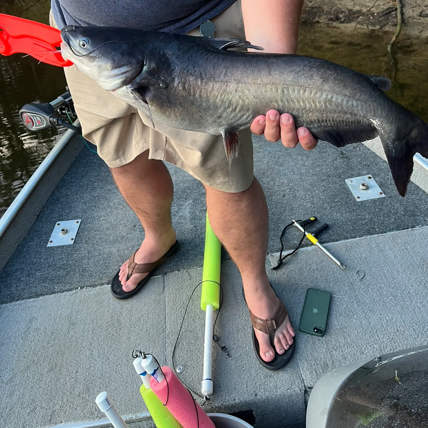 Blue catfish caught on Fishbrain