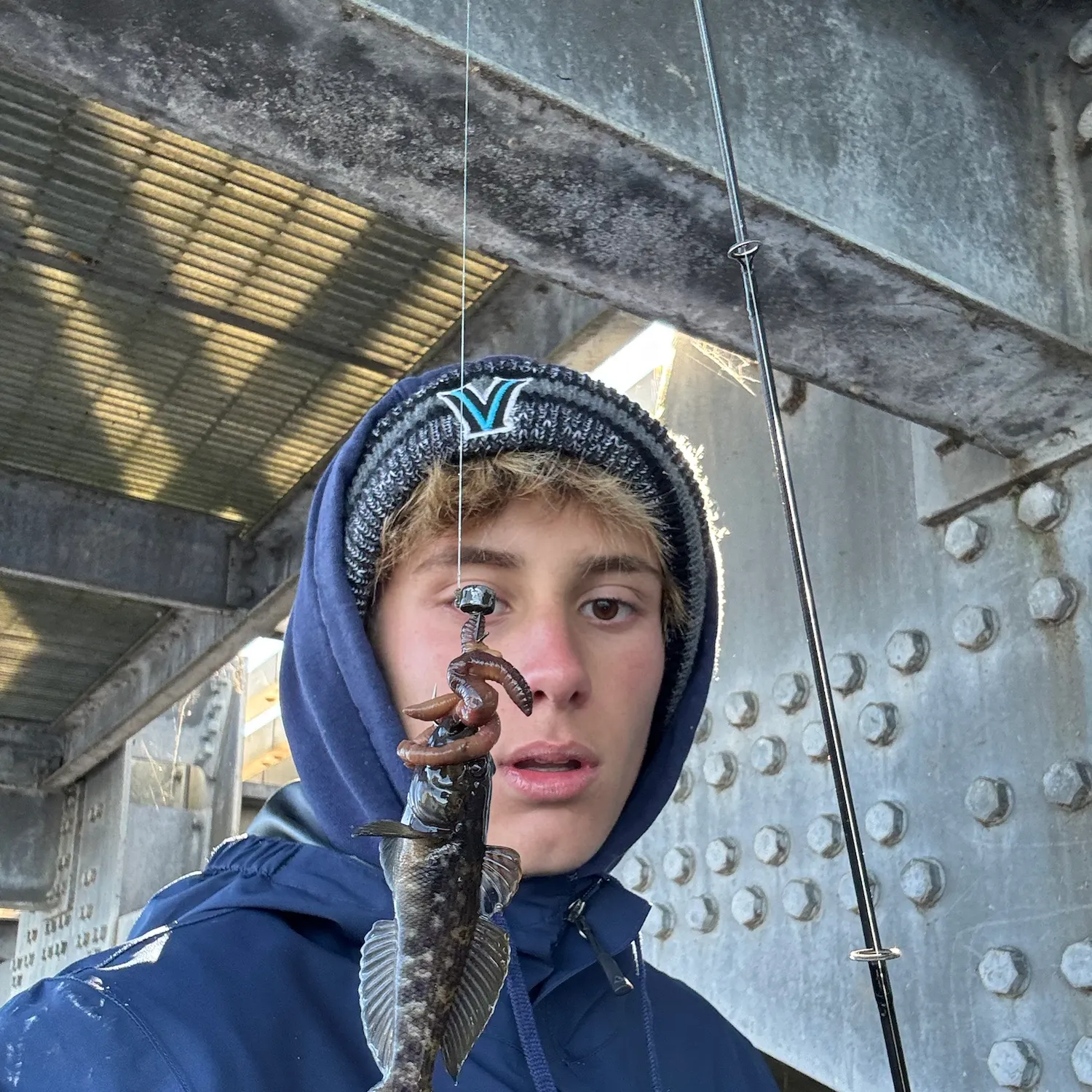 Round goby caught on Fishbrain