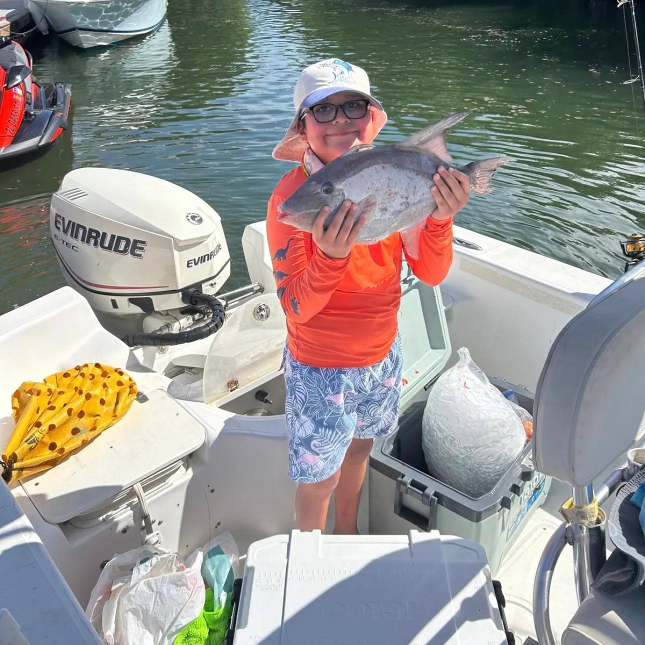 The most recent Ocean triggerfish catches on Fishbrain