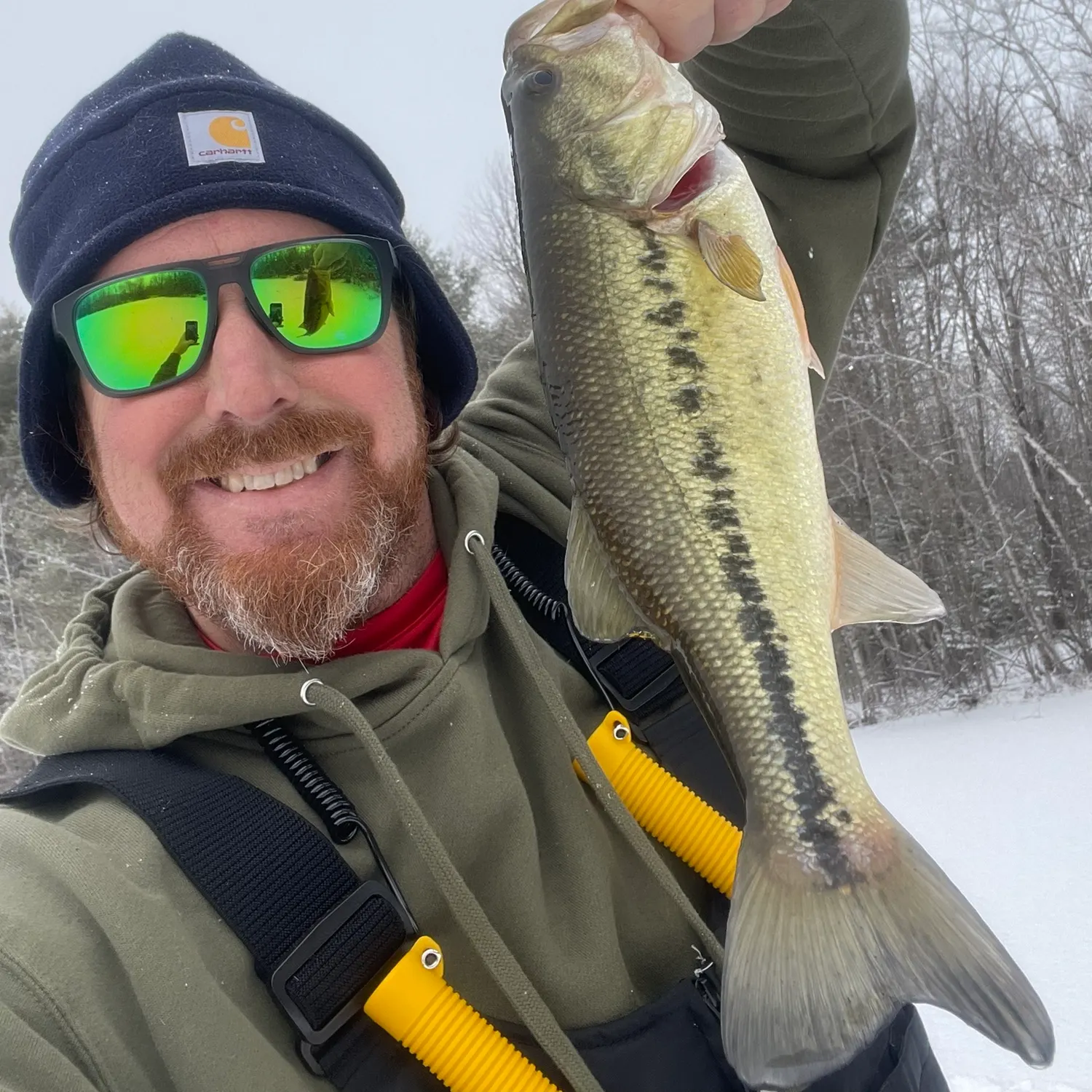 The most recent Largemouth bass catches on Fishbrain