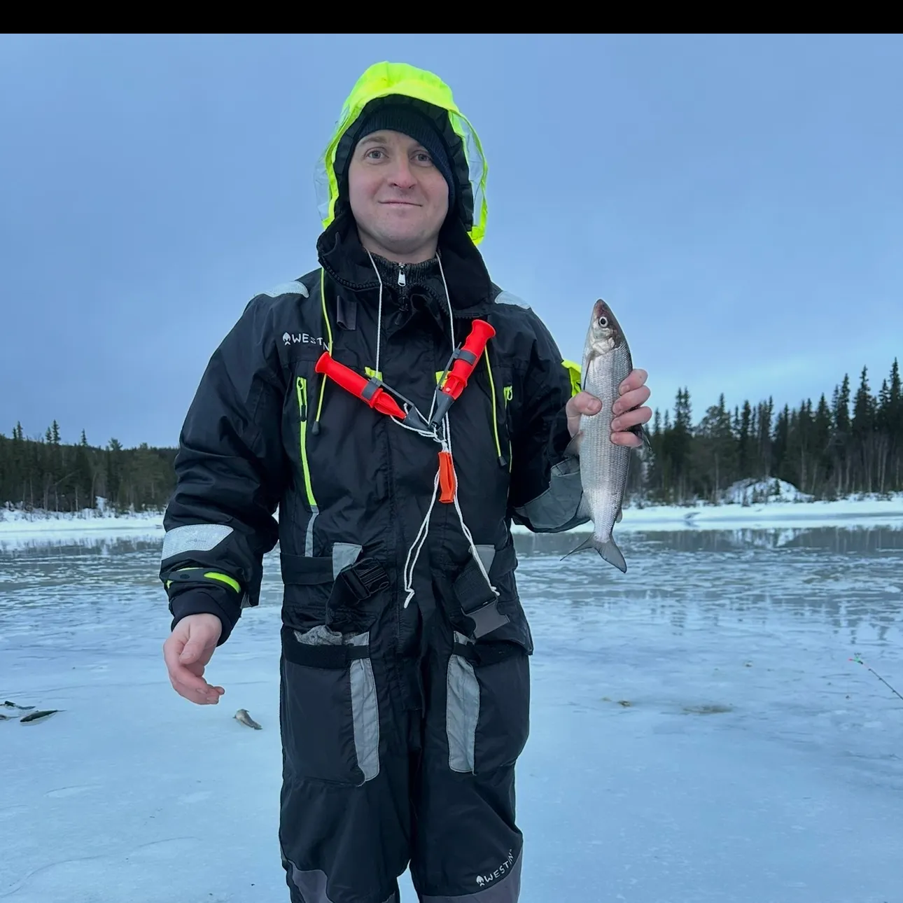 The most recent Lake whitefish catches on Fishbrain