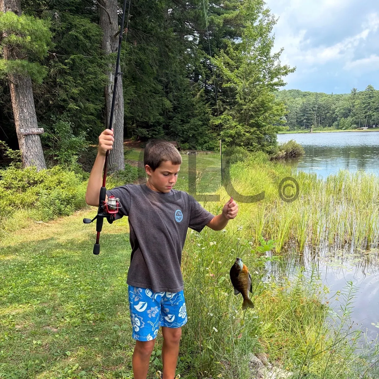 catch