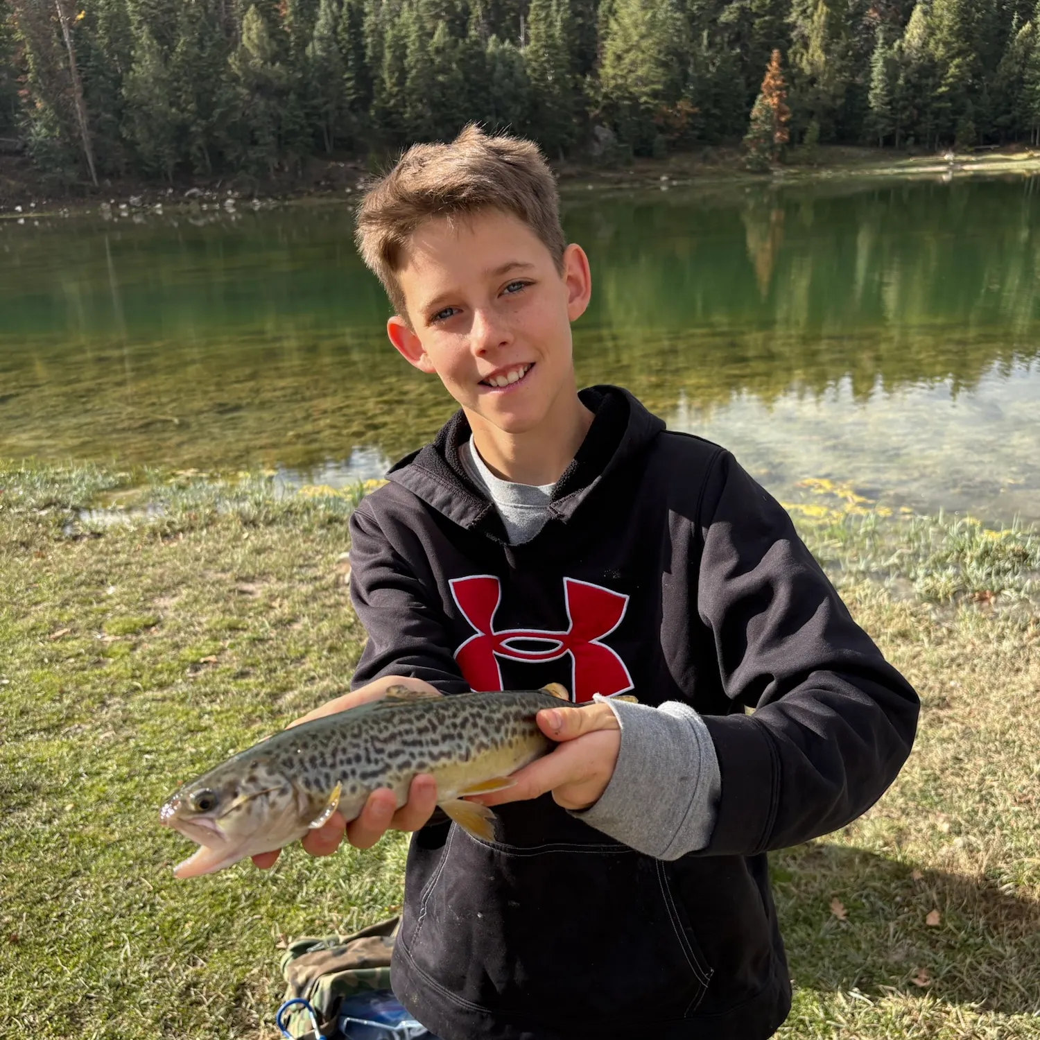 Tiger trout caught on Fishbrain