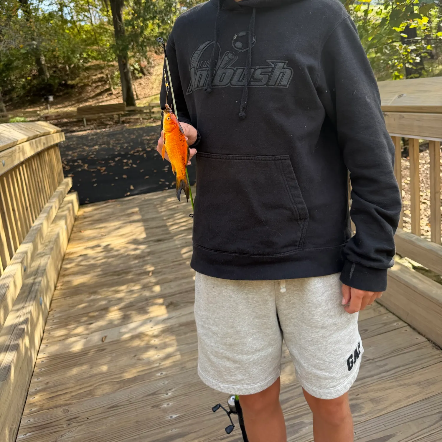 Goldfish caught on Fishbrain