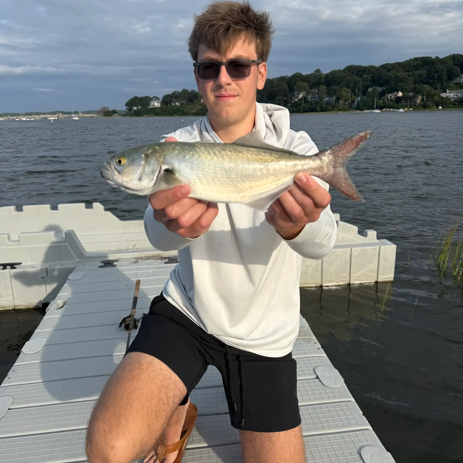 Bluefish caught on Fishbrain