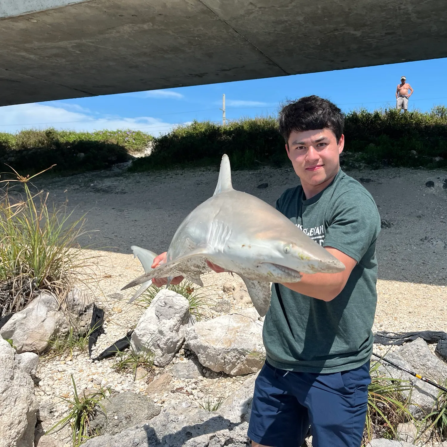 The most recent Bull shark catches on Fishbrain