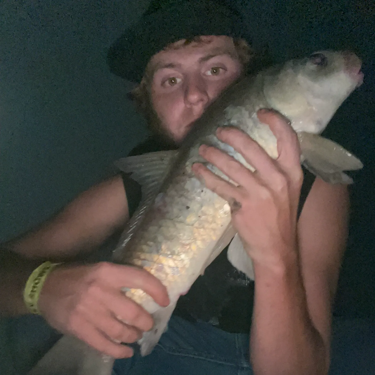 Fish caught on Fishbrain