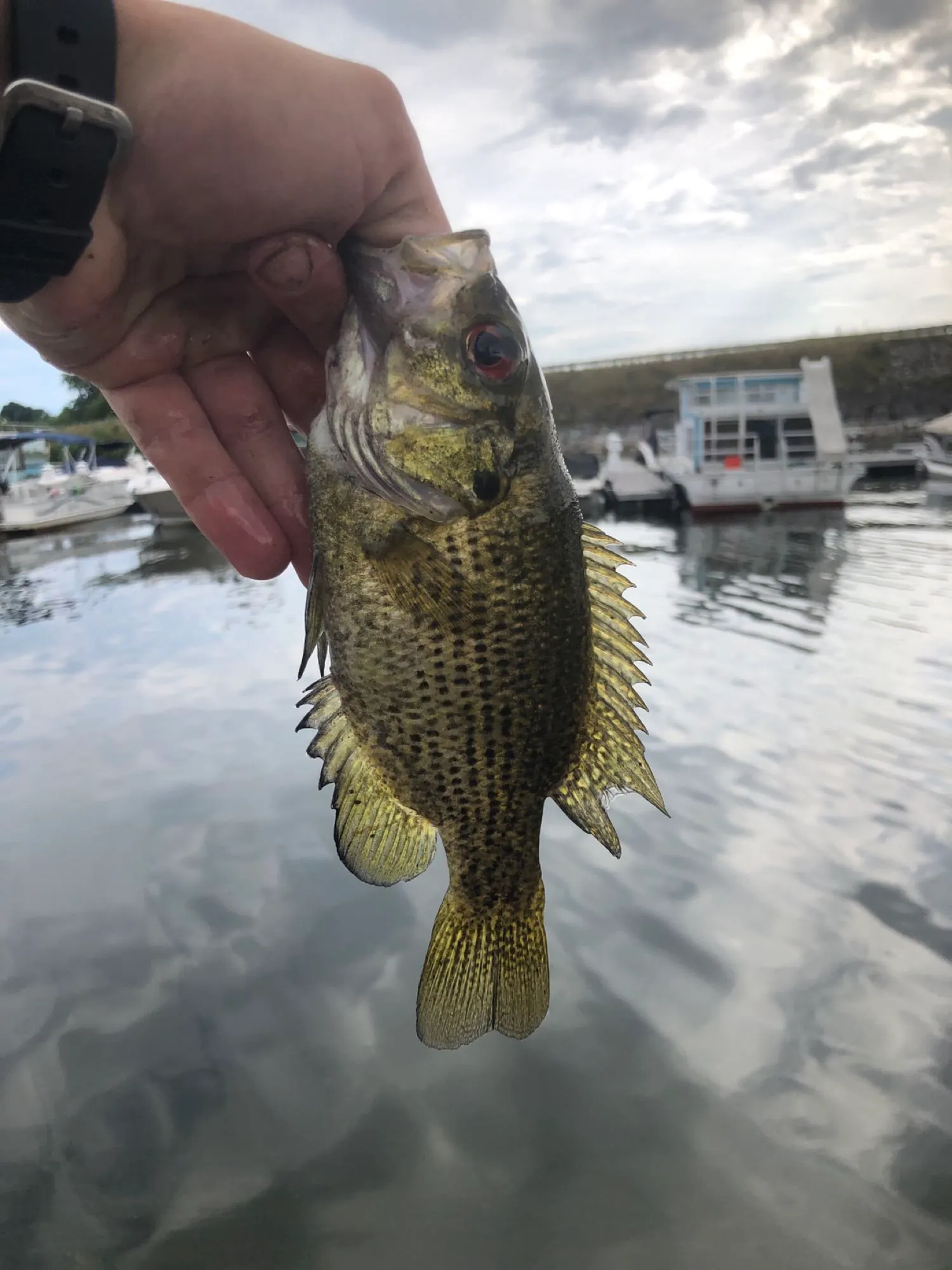 Post image from DCJ01