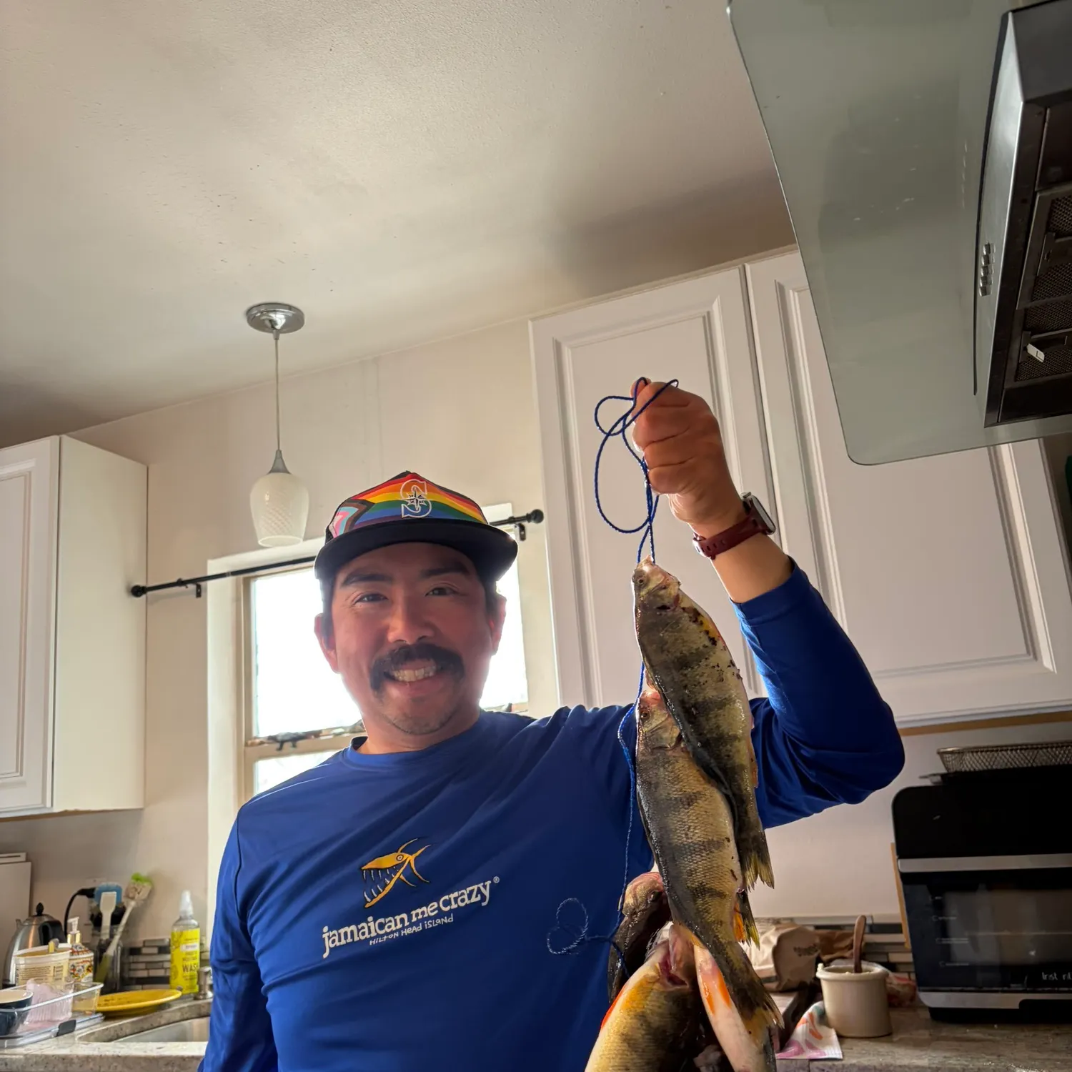 The most recent Yellow perch catches on Fishbrain