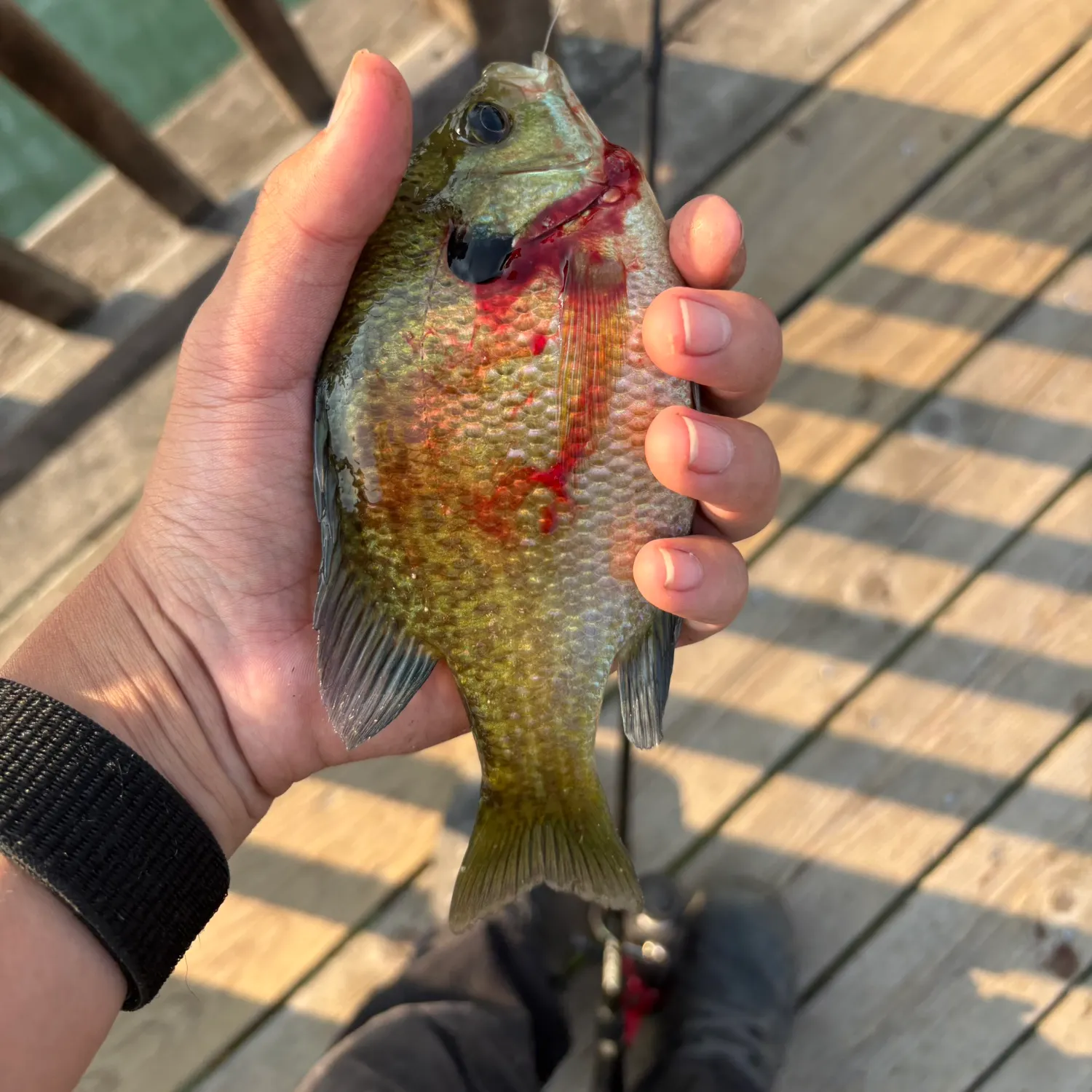 catch