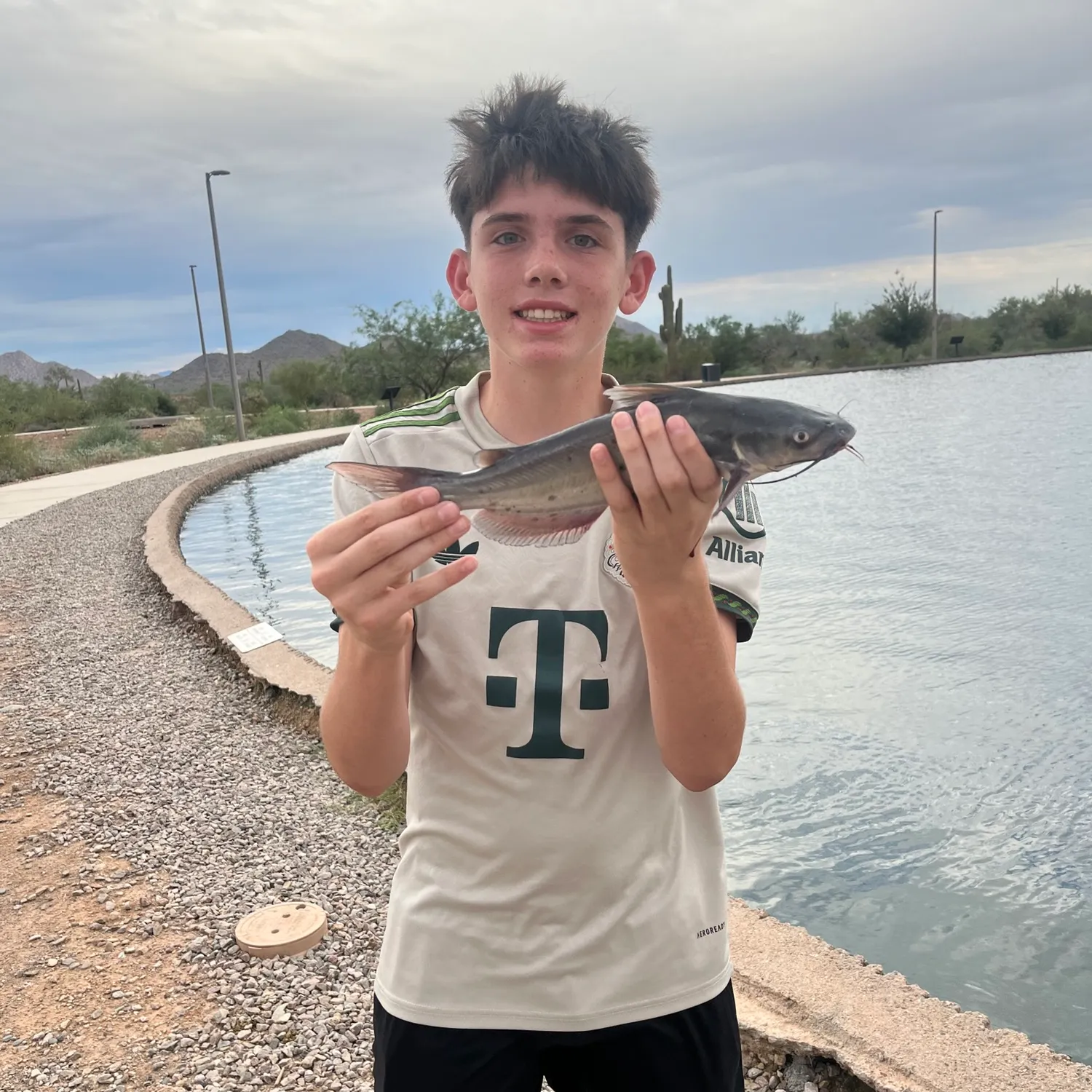 Channel catfish caught on Fishbrain