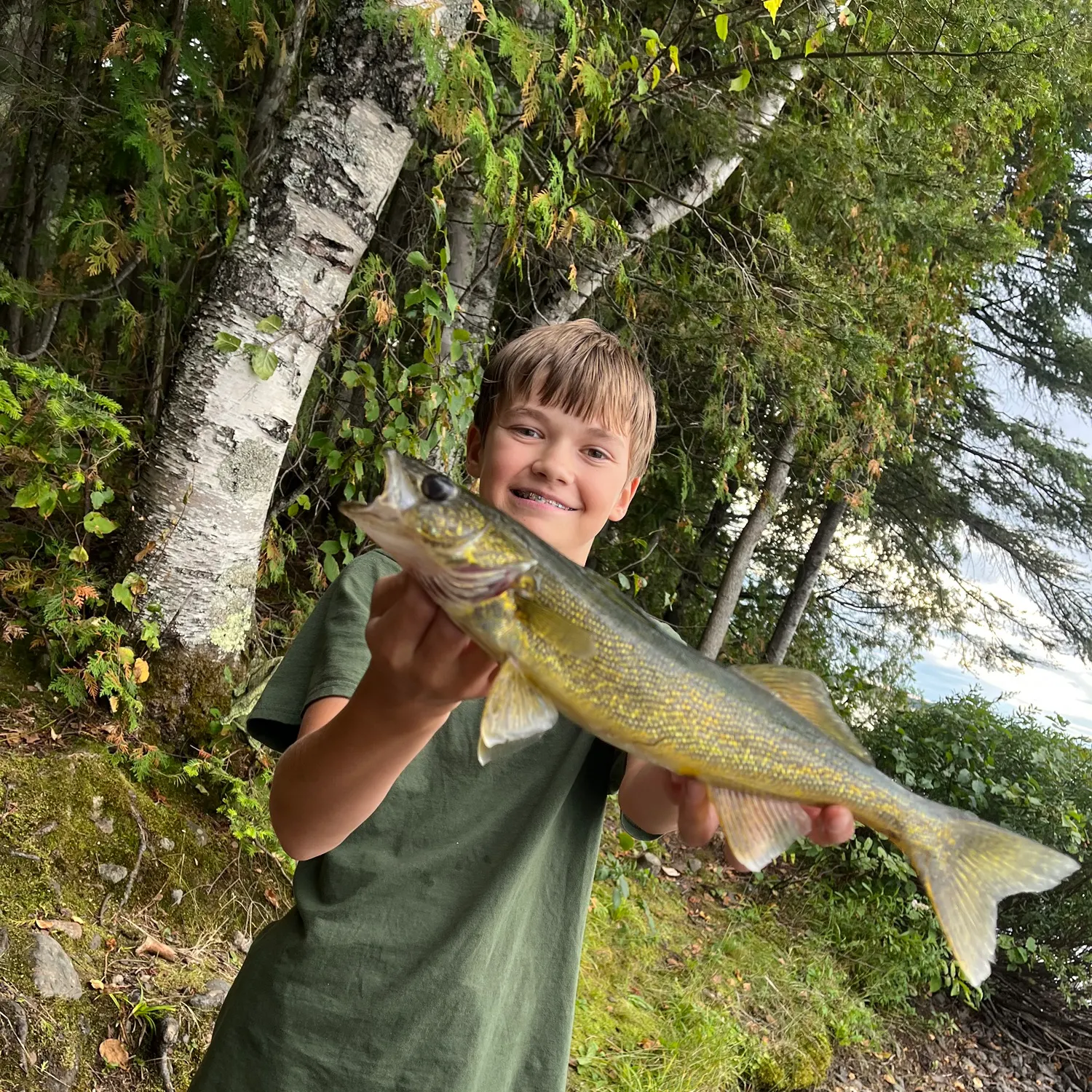 Walleye caught on Fishbrain