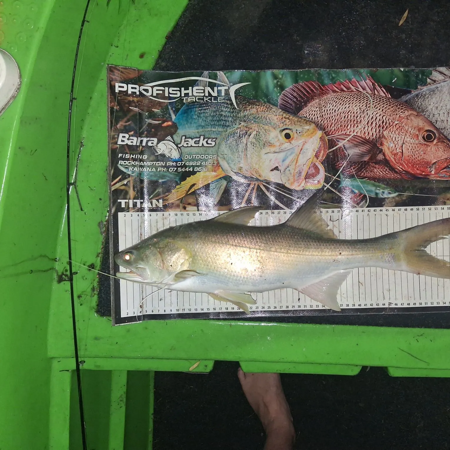 King threadfin caught on Fishbrain