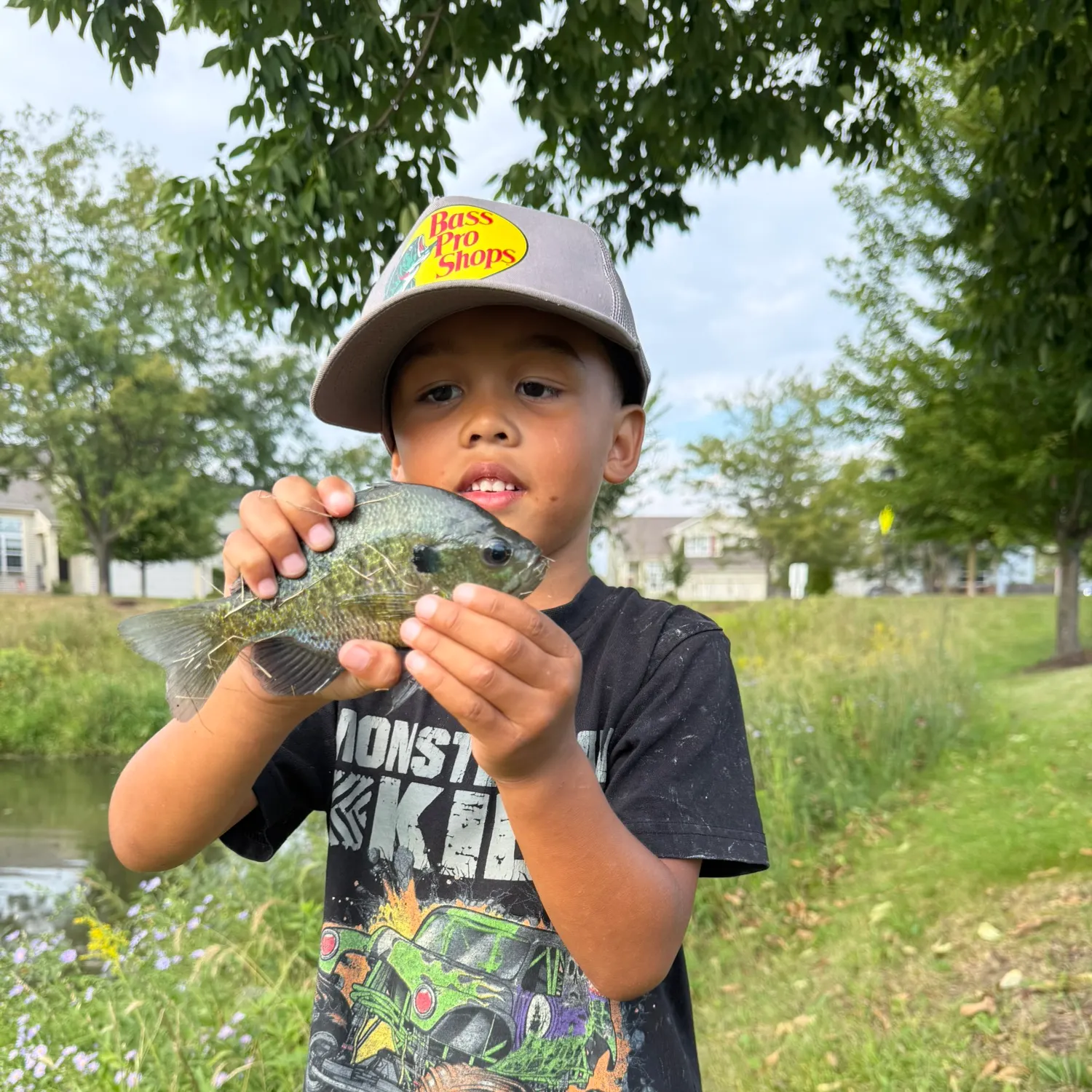 Bluegill caught on Fishbrain