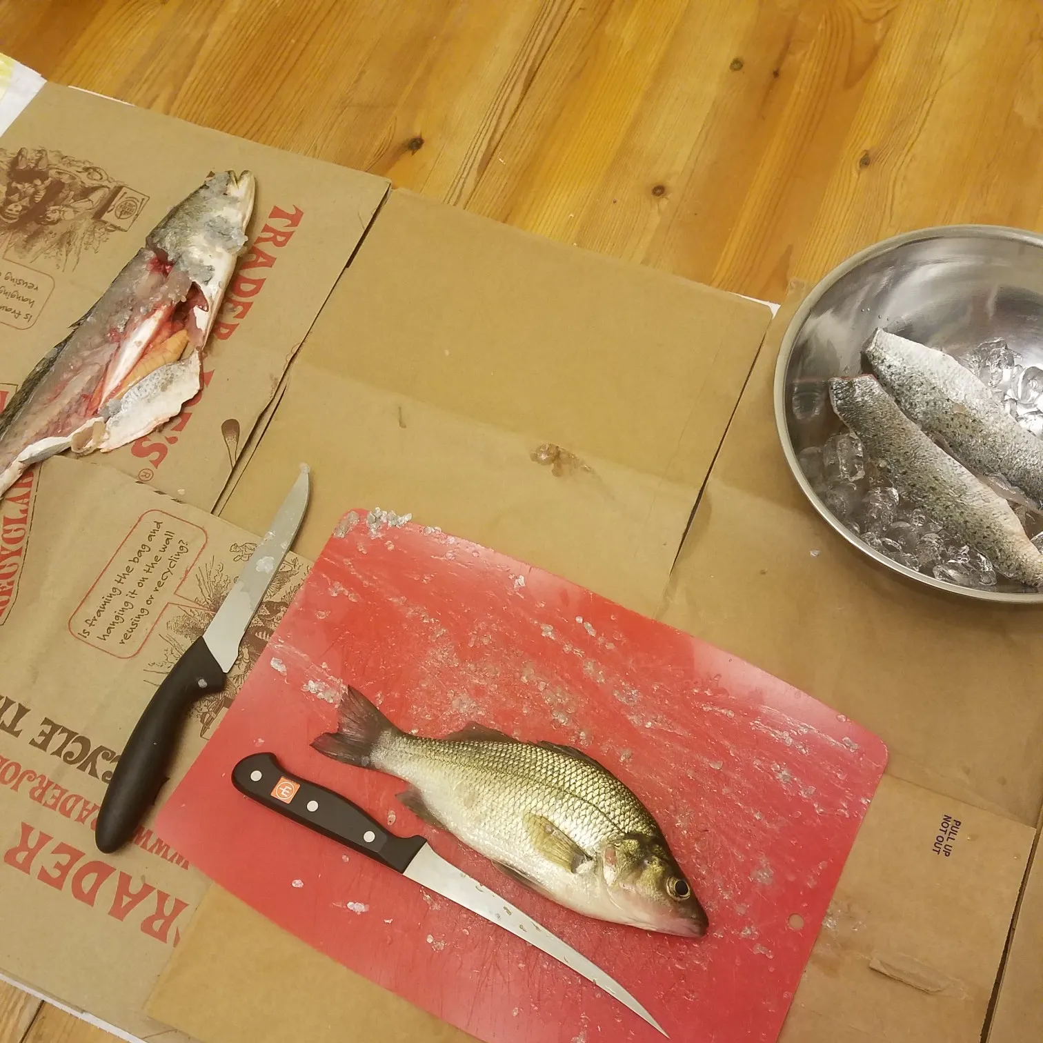 recently logged catches