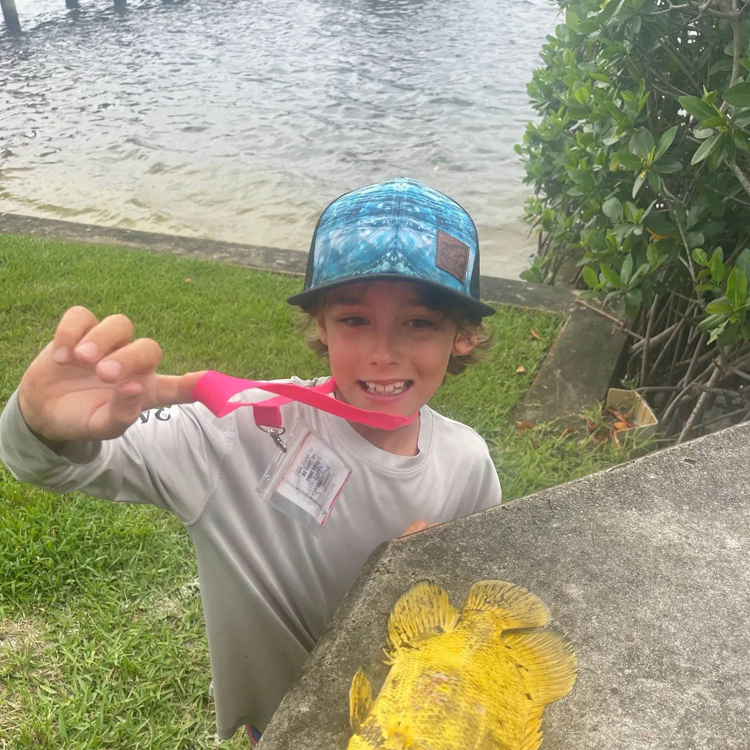 The most recent Atlantic tripletail catches on Fishbrain