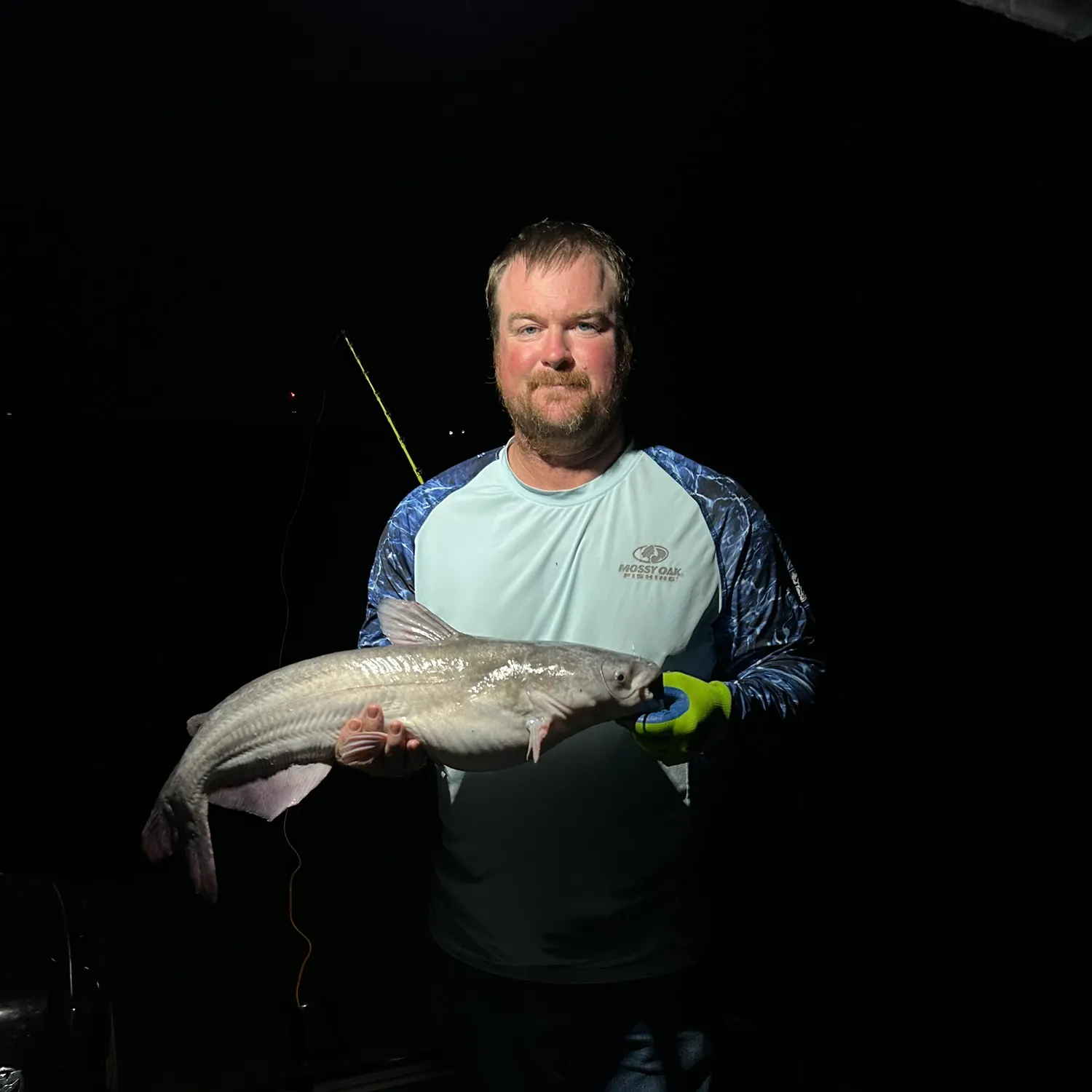 Blue catfish caught on Fishbrain