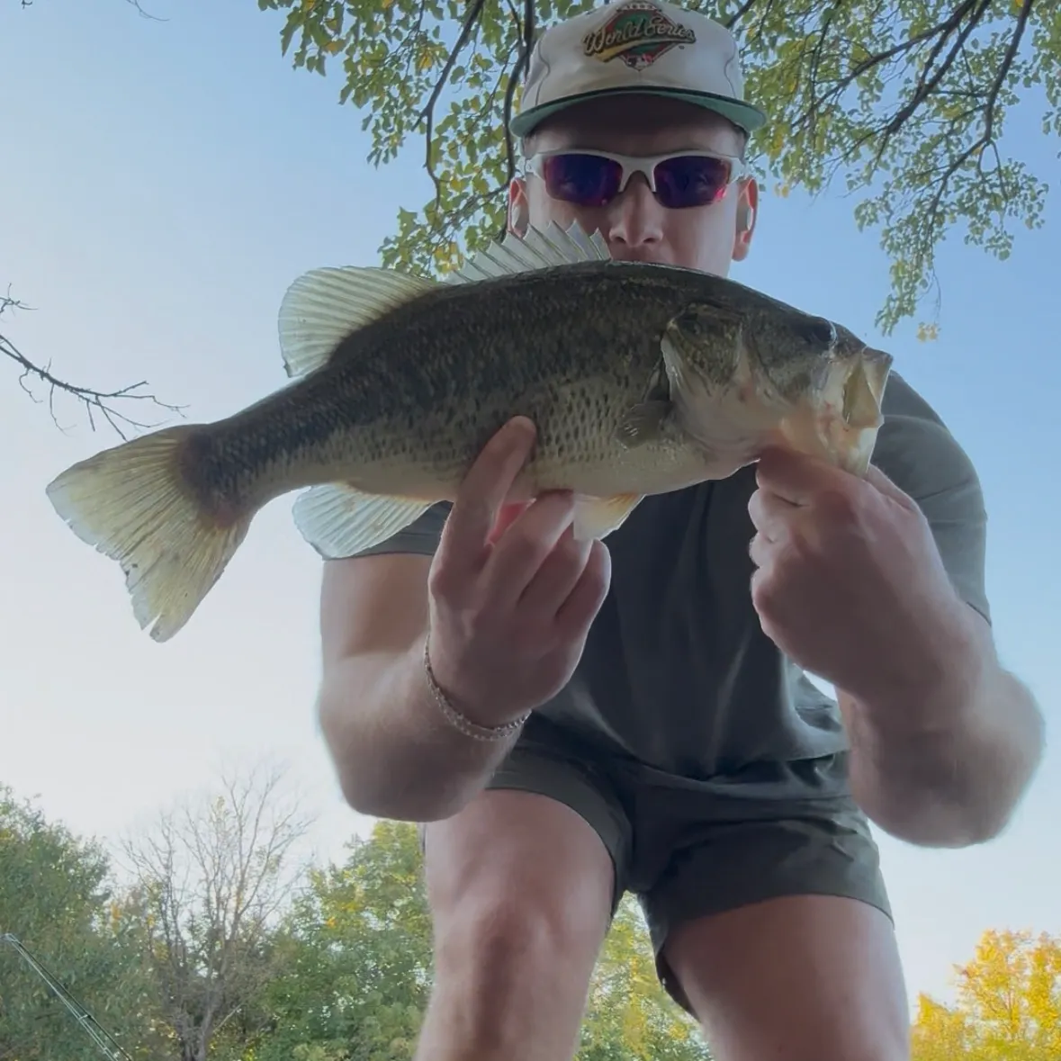 Spotted bass caught on Fishbrain