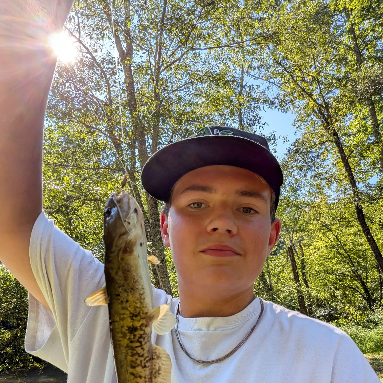 The most recent Flat bullhead catches on Fishbrain