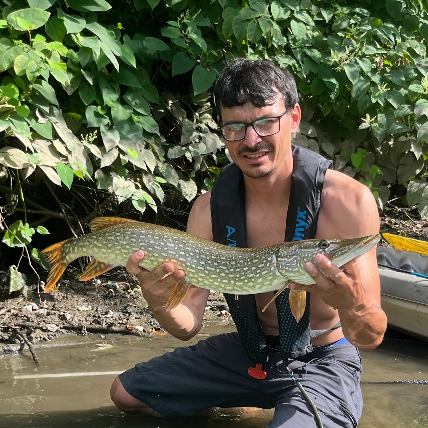 Northern pike caught on Fishbrain