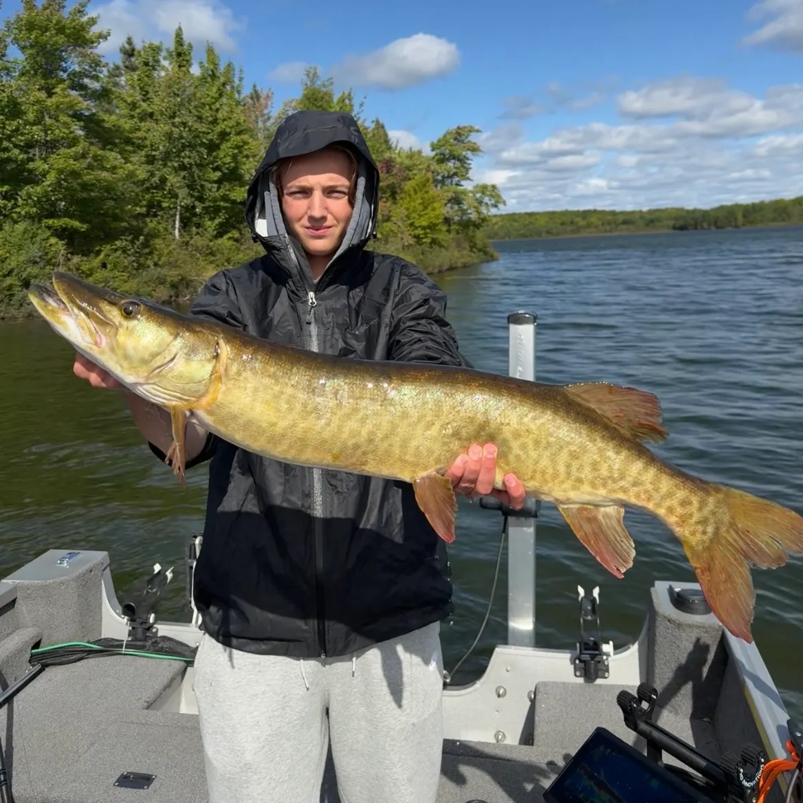 Muskie caught on Fishbrain