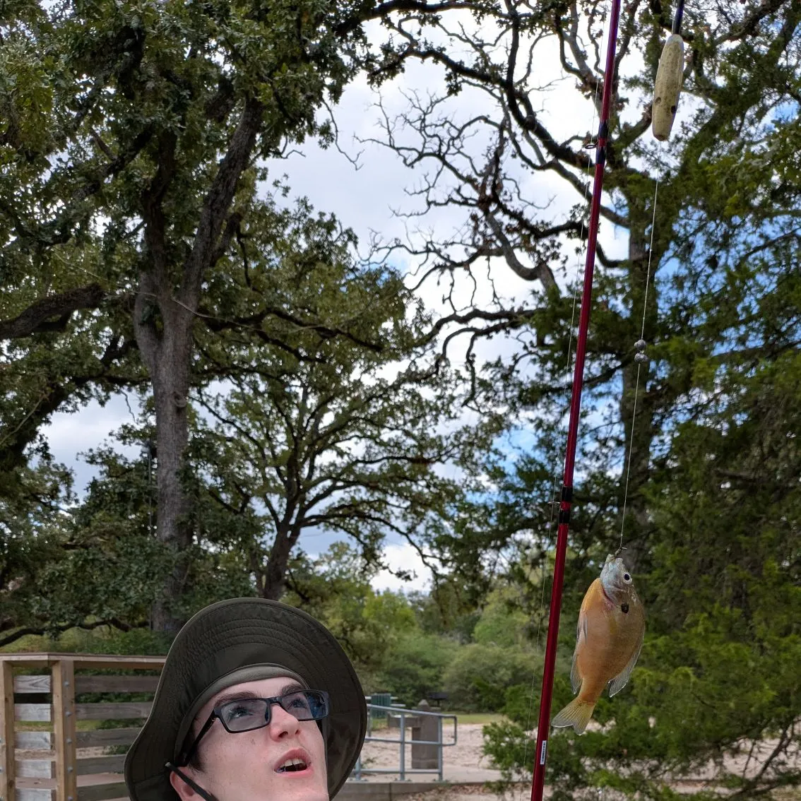 Bluegill caught on Fishbrain