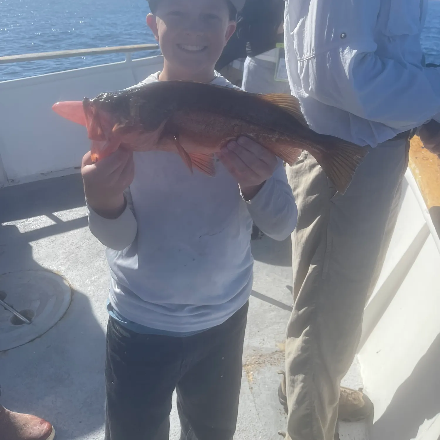 The most recent Bocaccio rockfish catches on Fishbrain