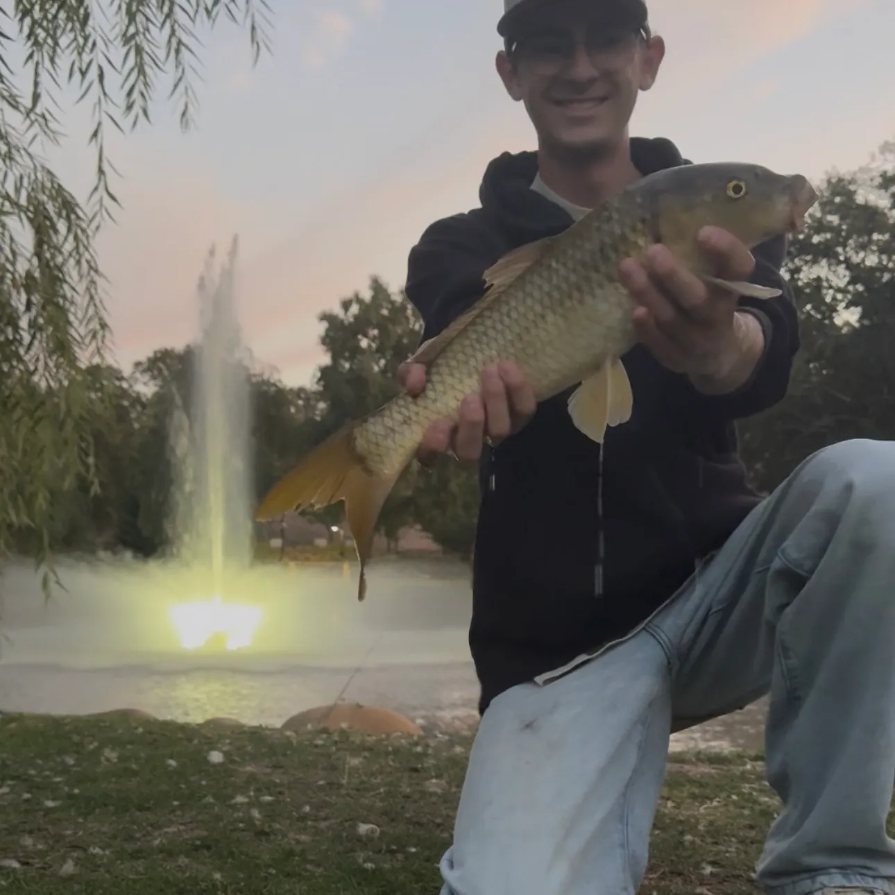 Common carp caught on Fishbrain