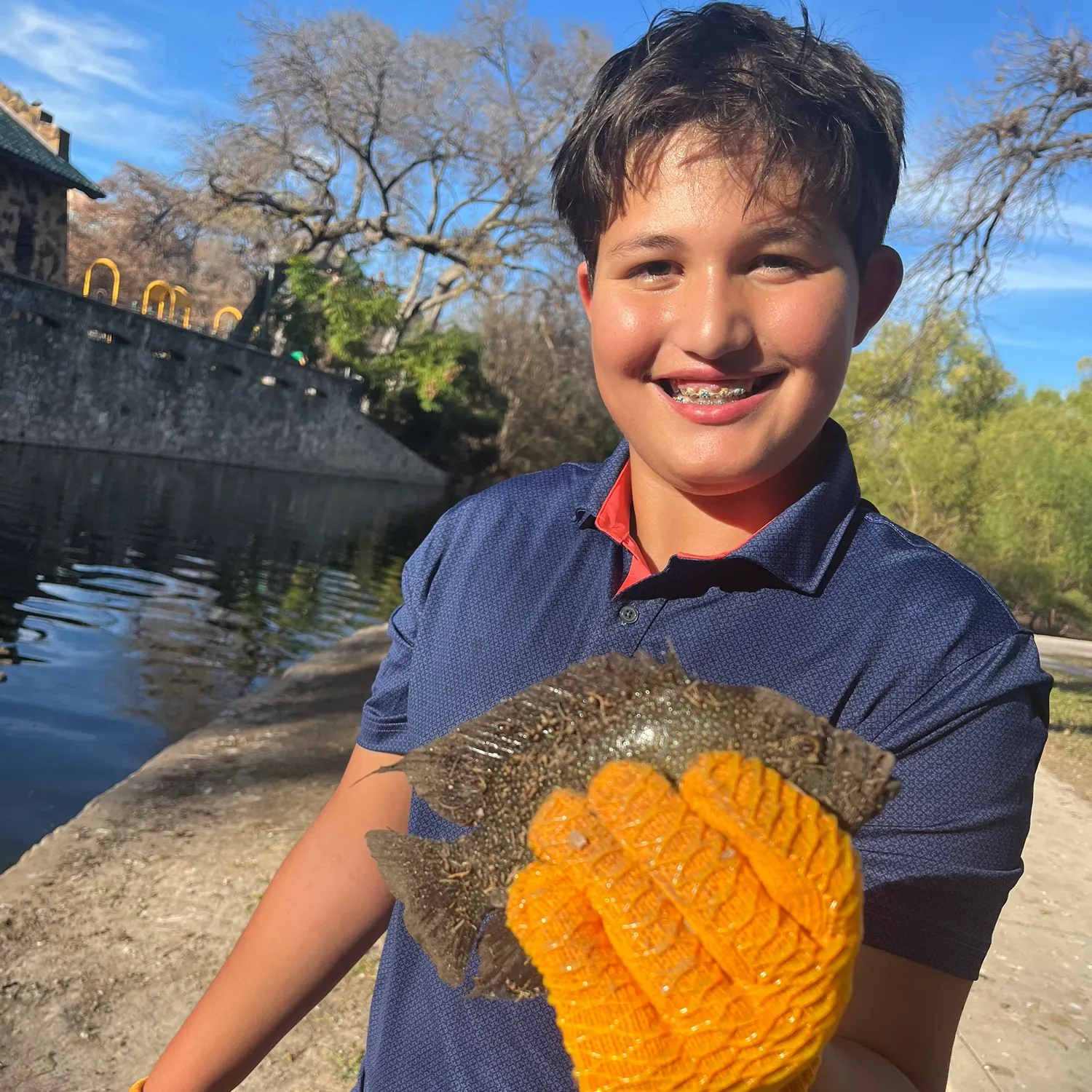 The most recent Rio Grande cichlid catches on Fishbrain