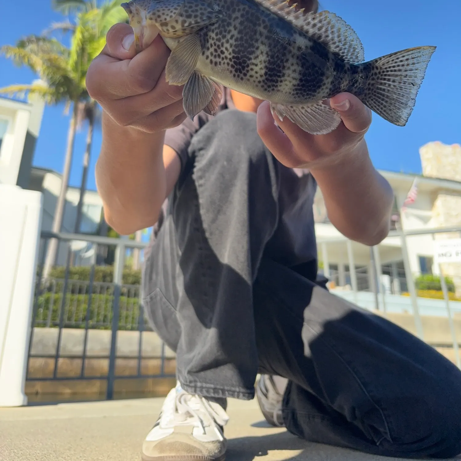 catch