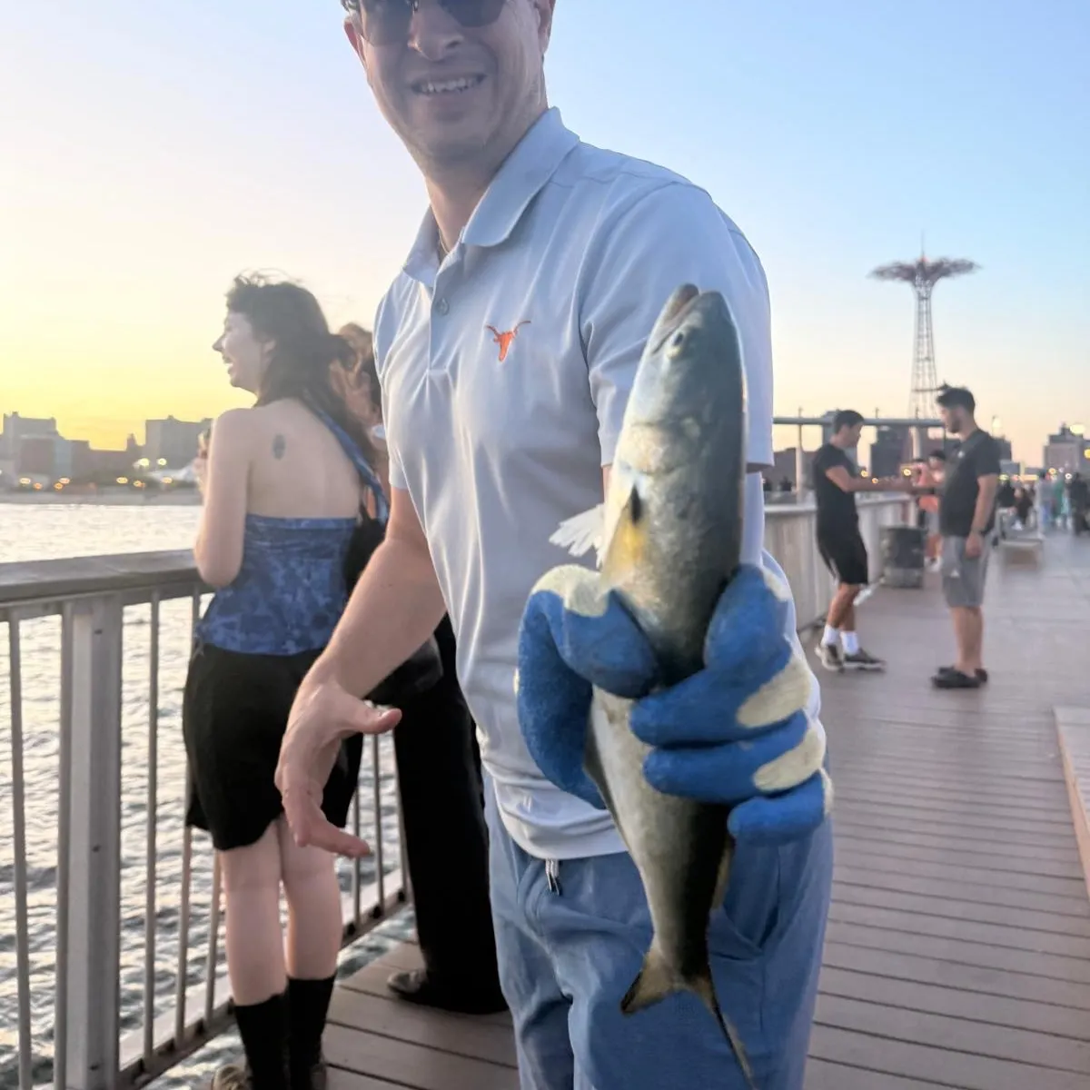 Bluefish caught on Fishbrain