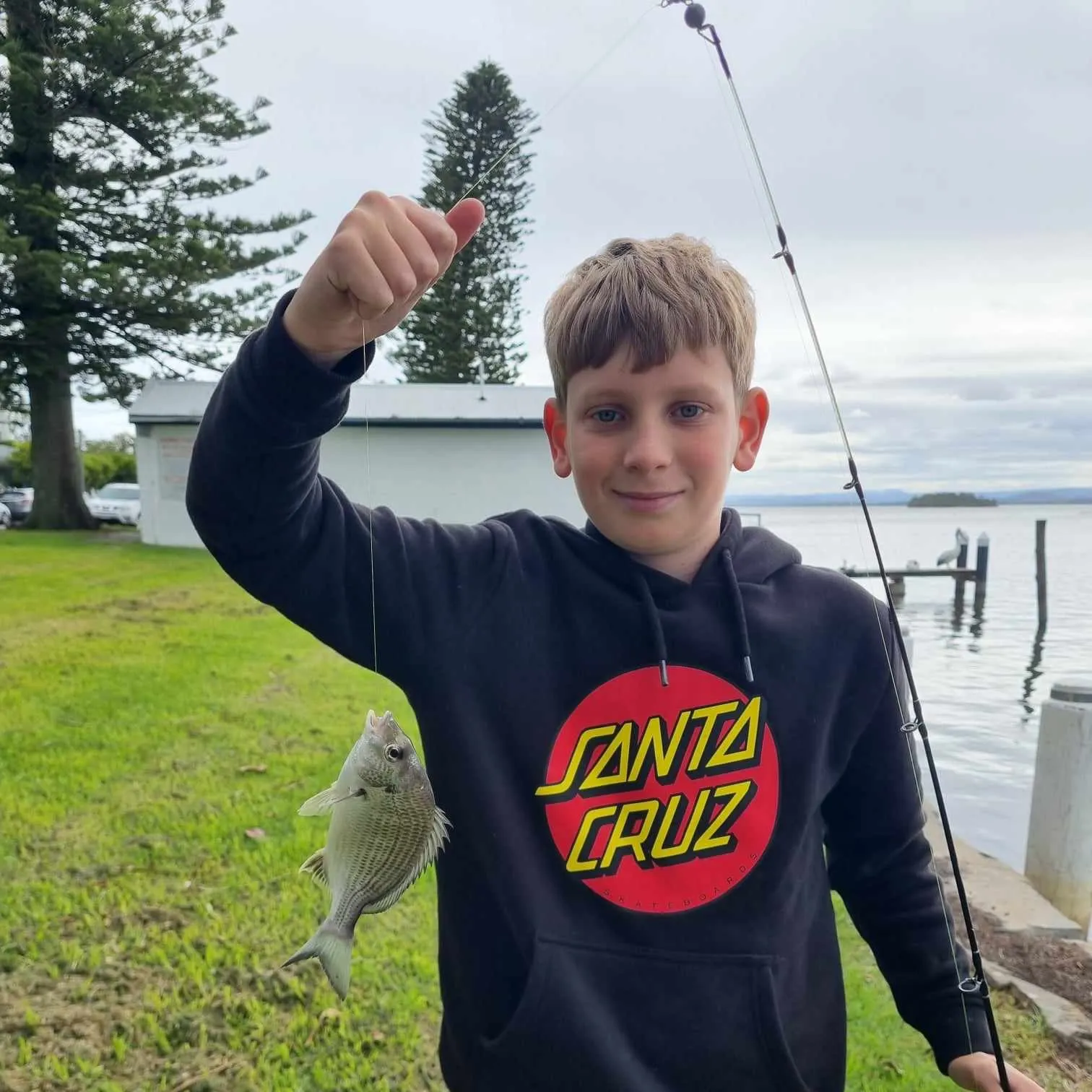 The most recent Surf bream catches on Fishbrain
