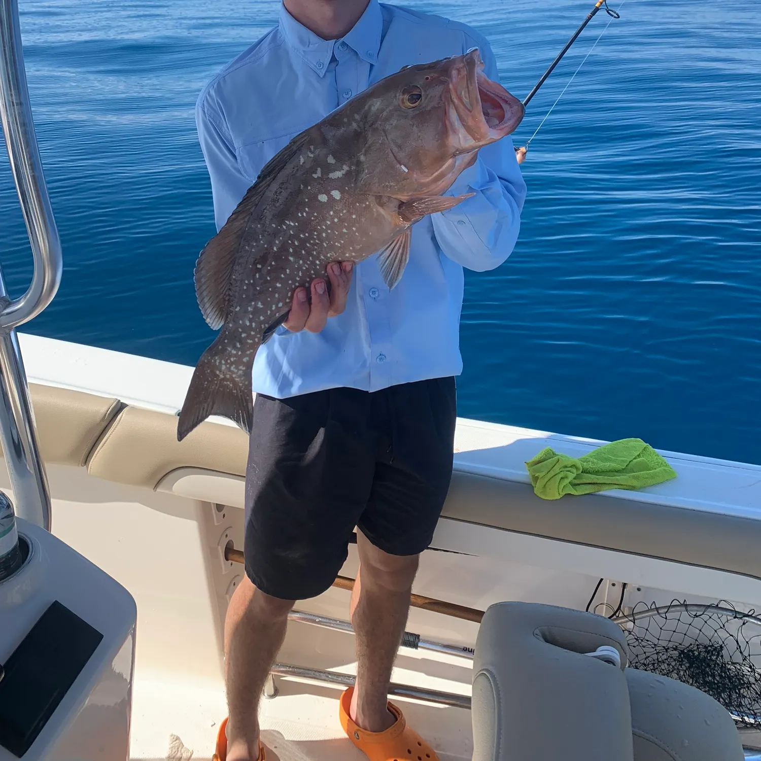 most liked catch image
