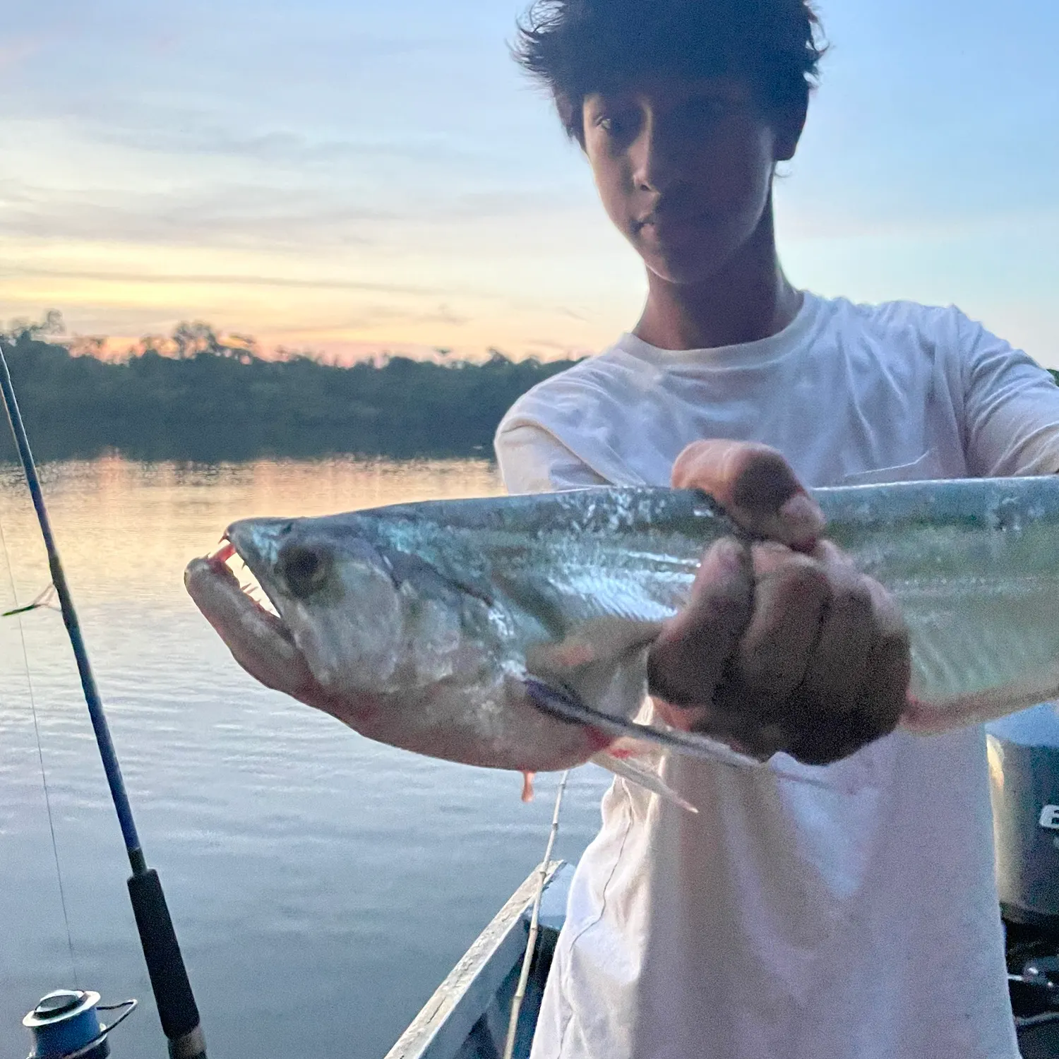 The most recent Vampire fish catches on Fishbrain