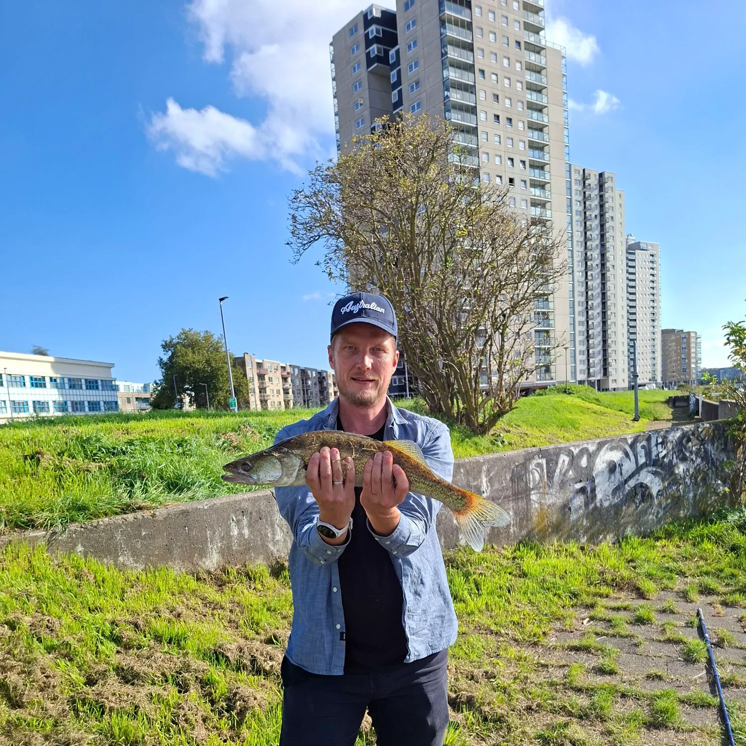 Zander caught on Fishbrain