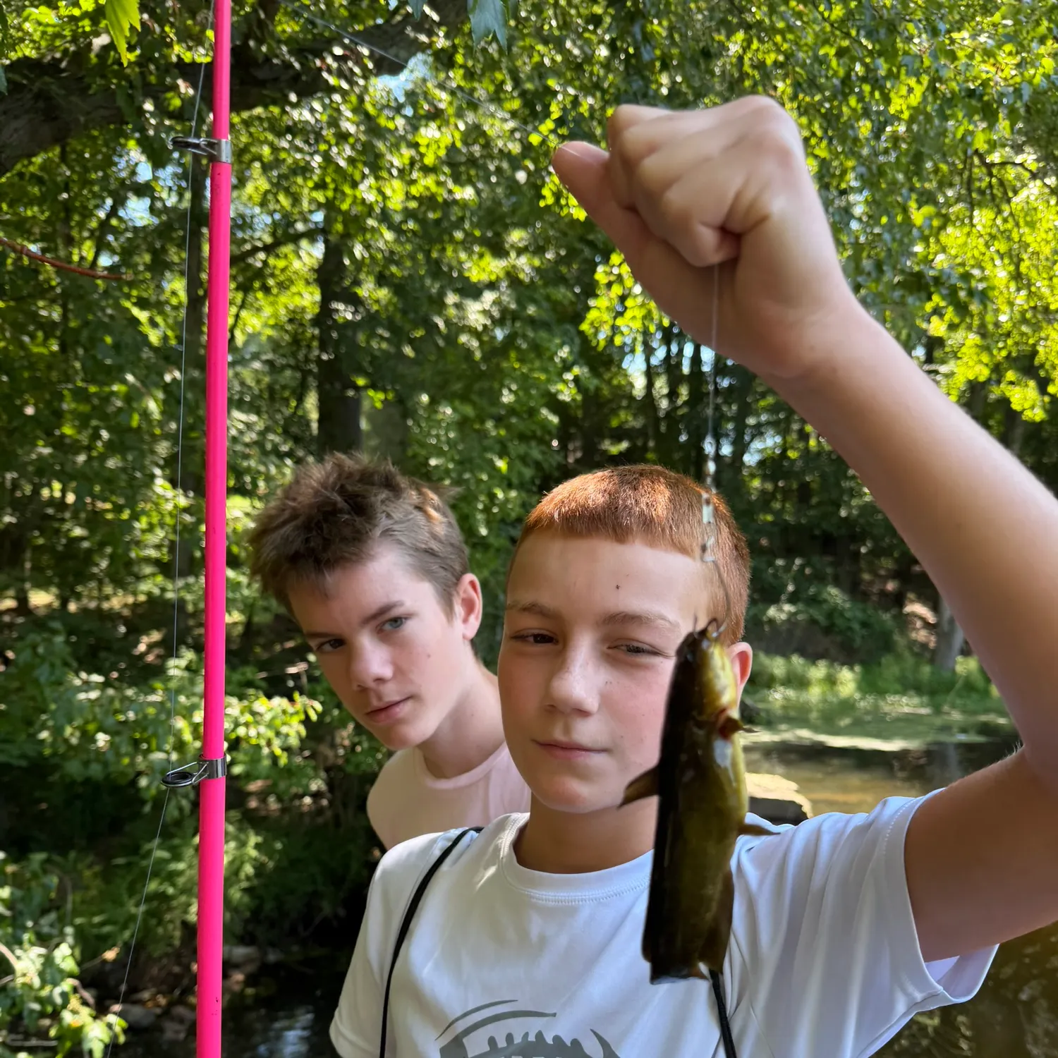 Fish caught on Fishbrain