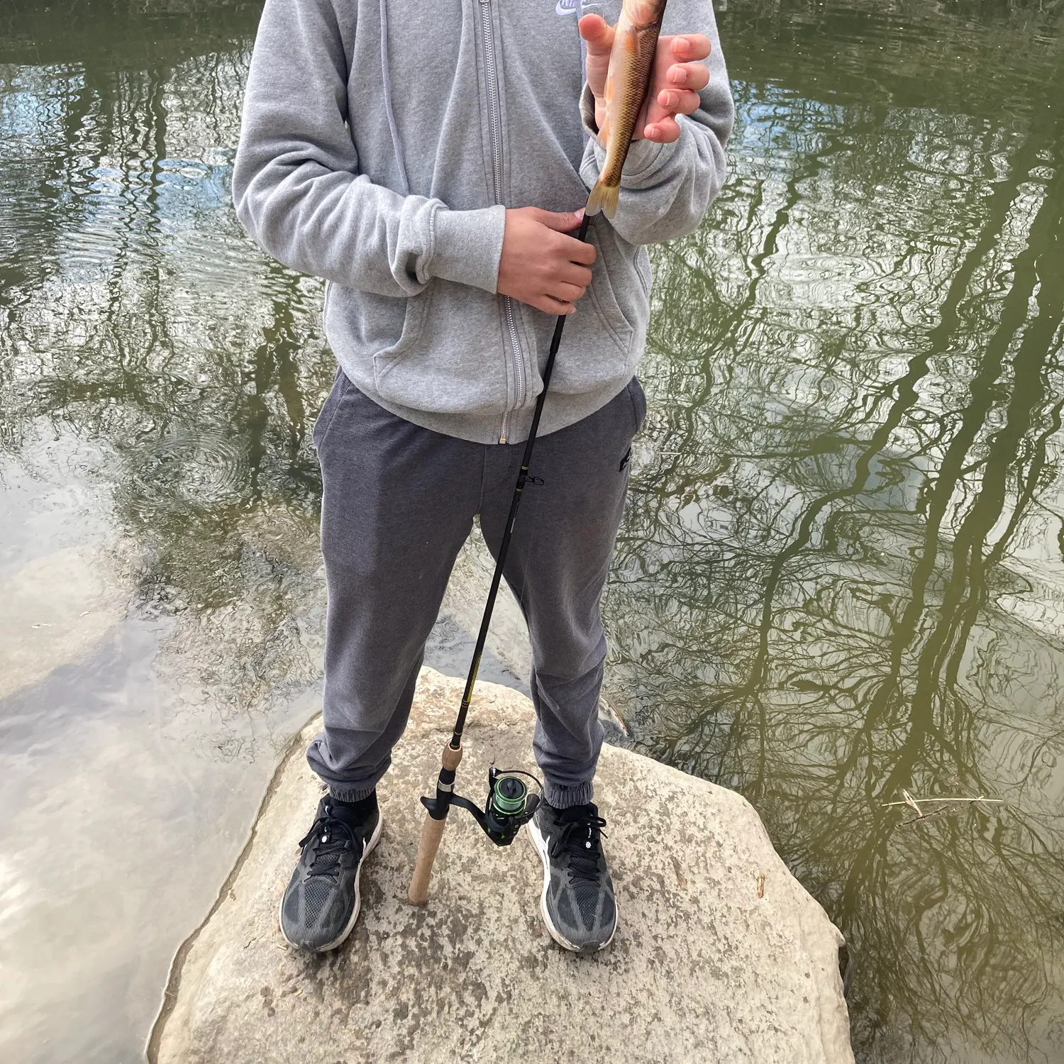 The most recent Hornyhead chub catches on Fishbrain