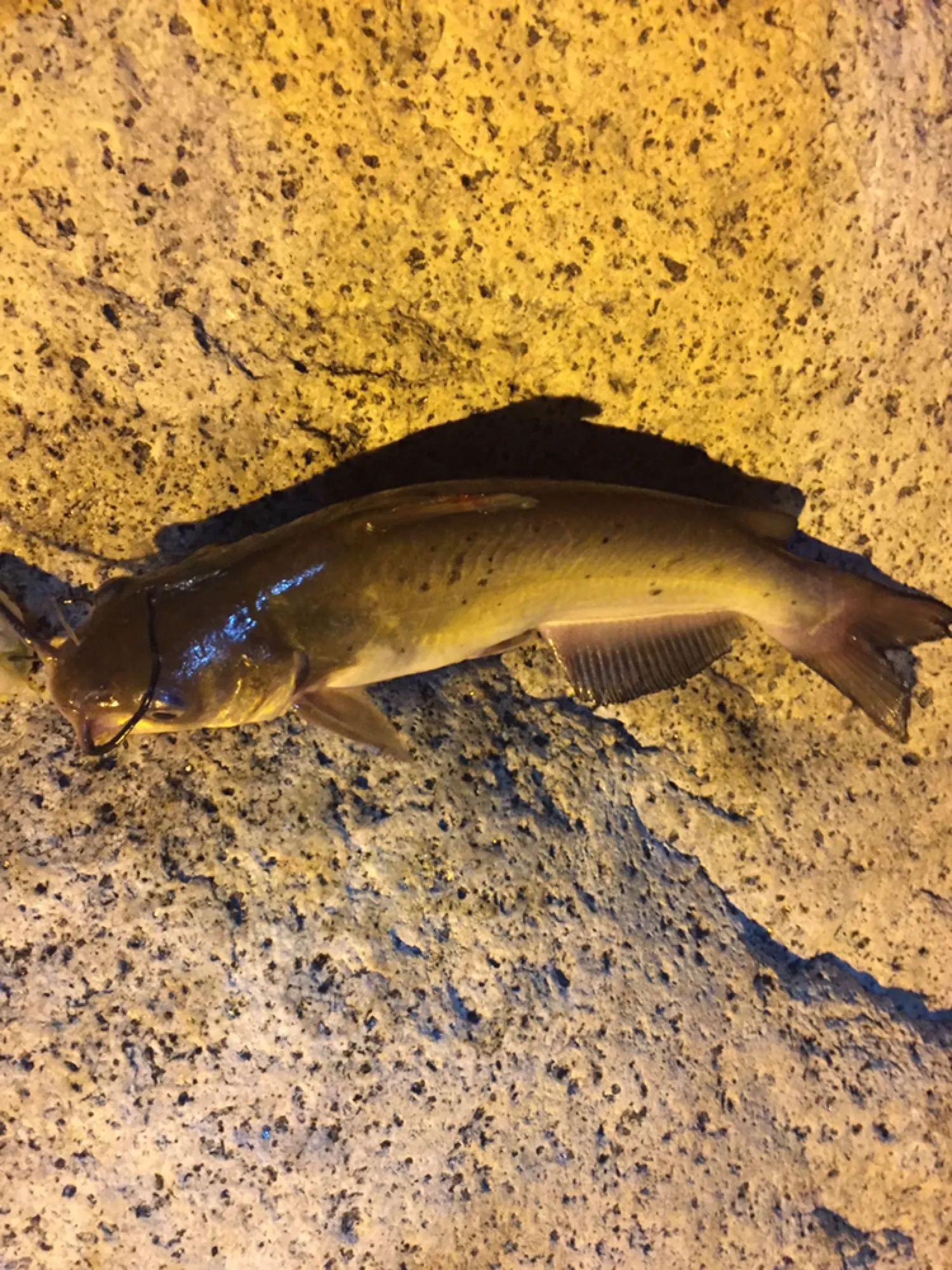 Post image from AgentS19