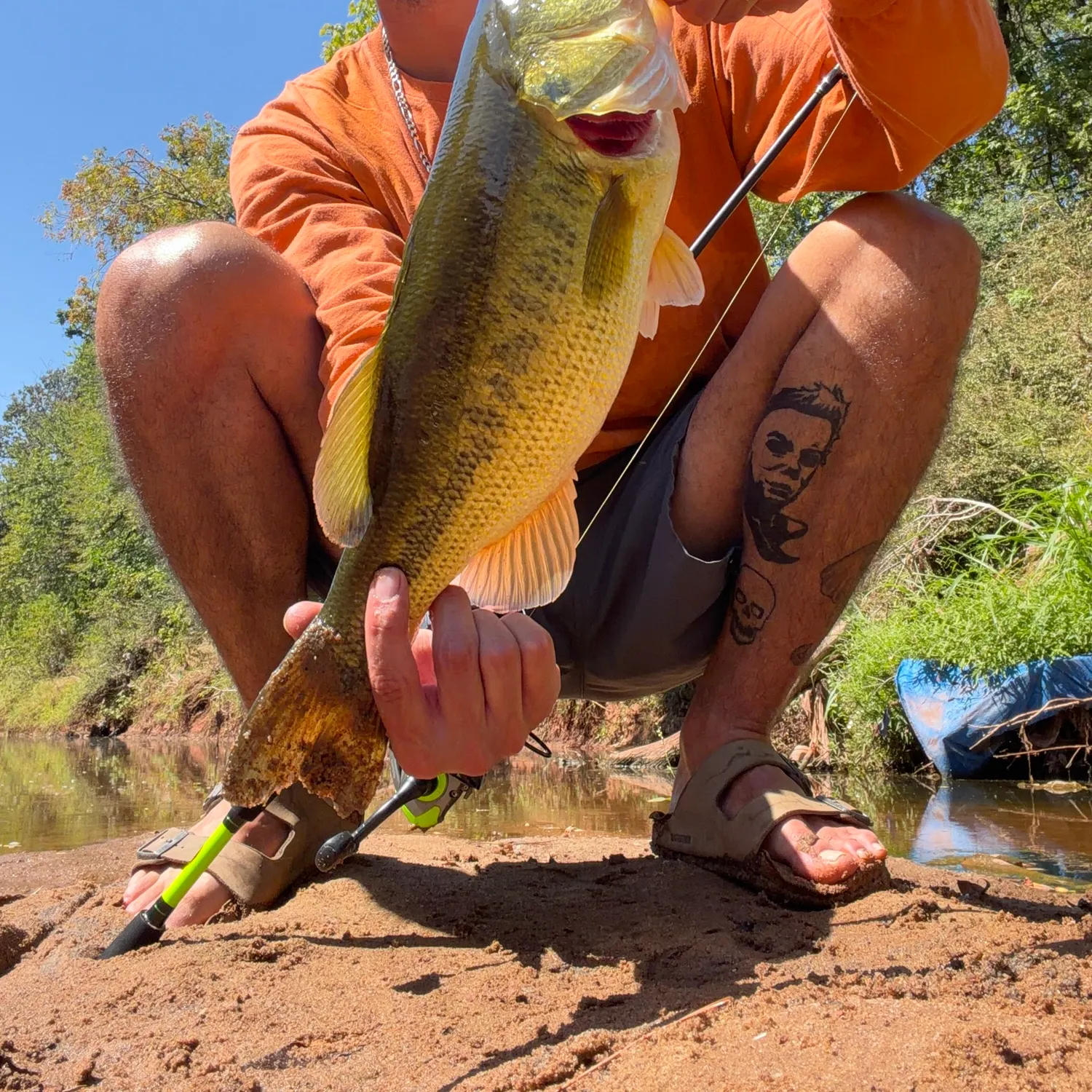 Largemouth bass caught on Fishbrain