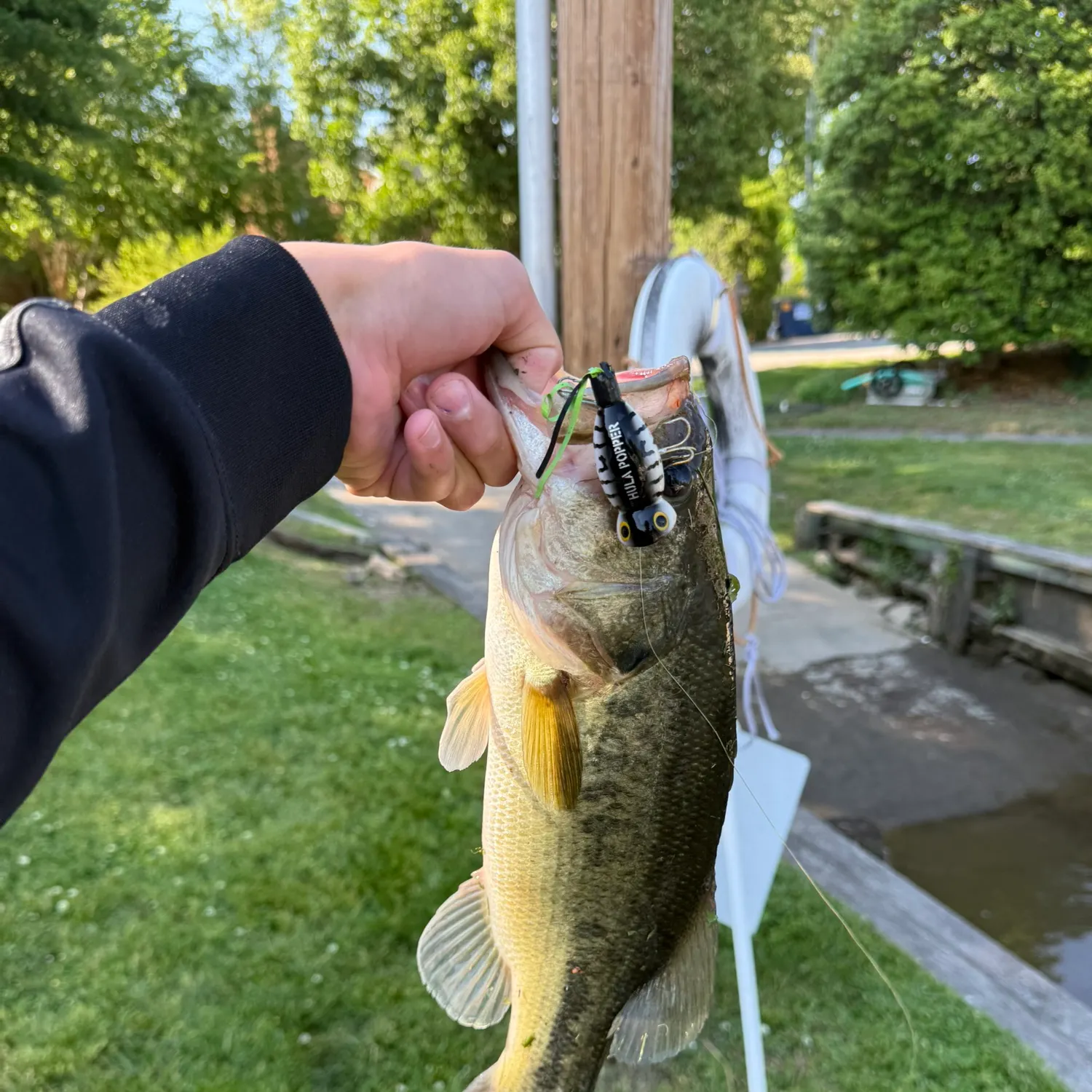 catch