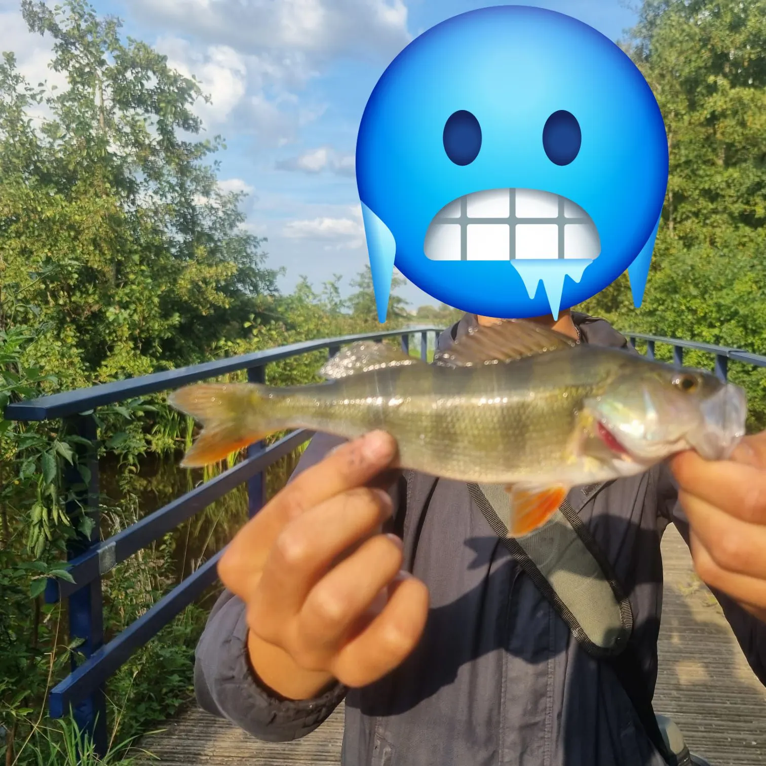 European perch caught on Fishbrain
