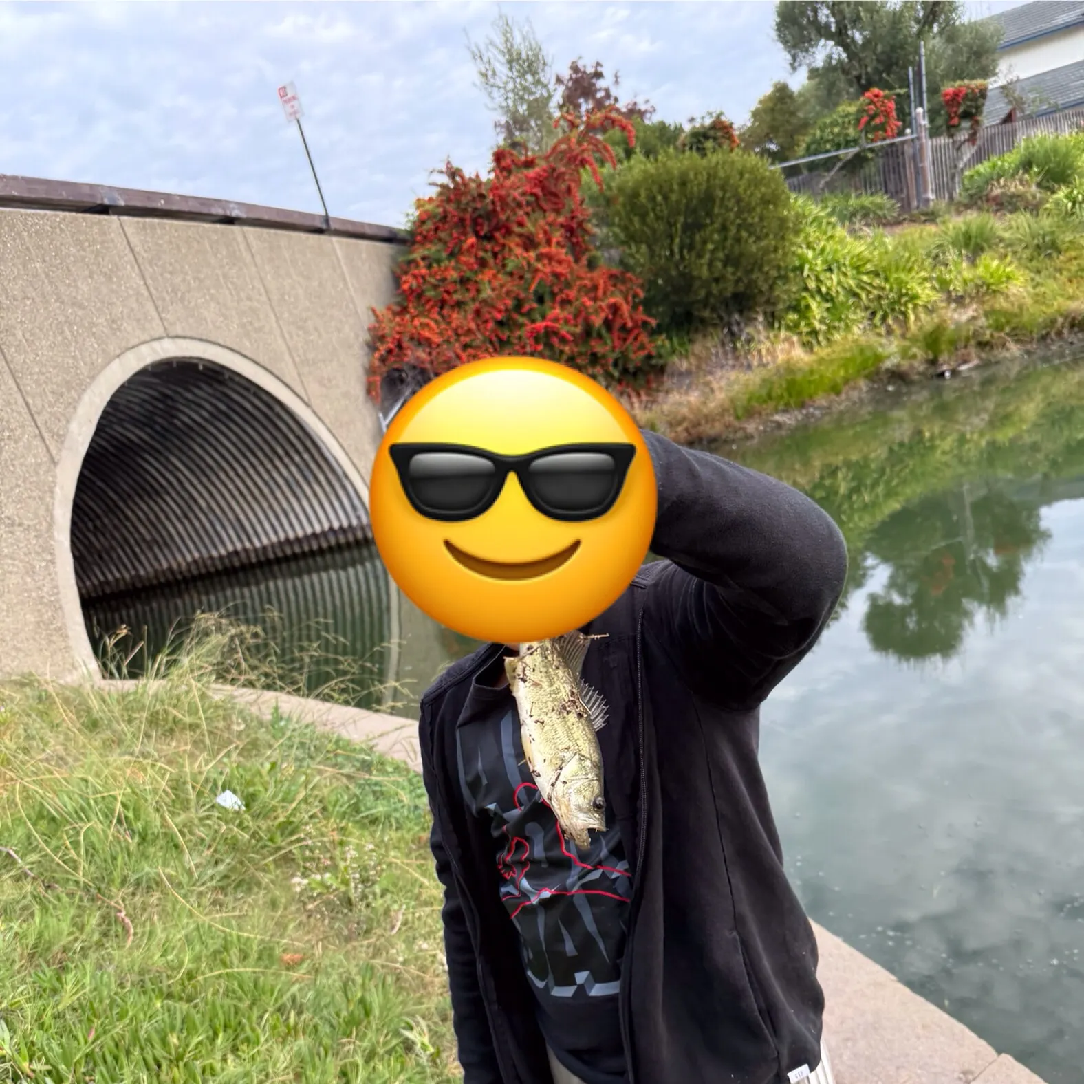 The most recent Spotted bass catches on Fishbrain