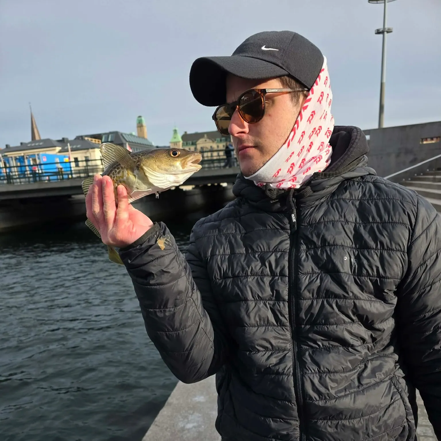 The most recent Atlantic cod catches on Fishbrain