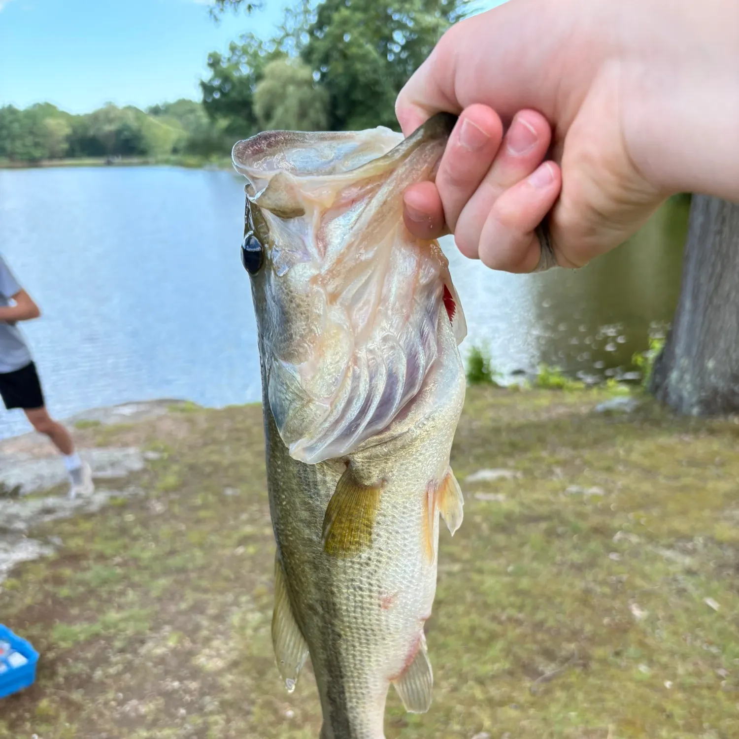 angler catch