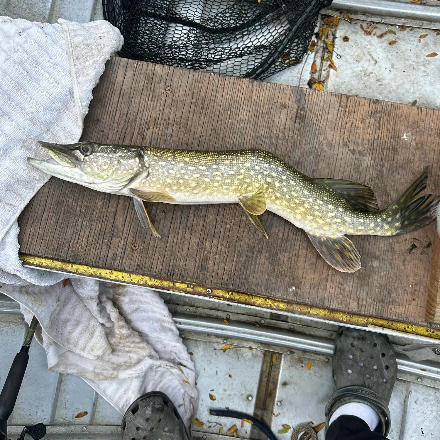 catch
